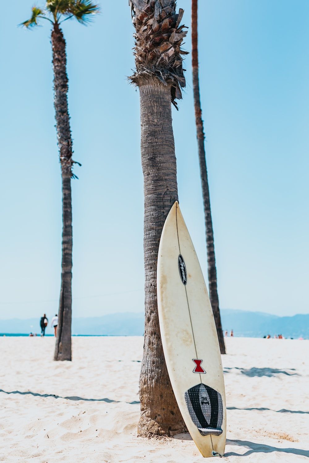 A surfboard is leaning against the trunk of palm tree - Surf