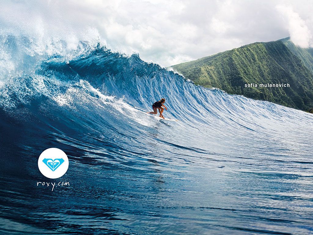 A surfer riding a wave on a surfboard. - Surf