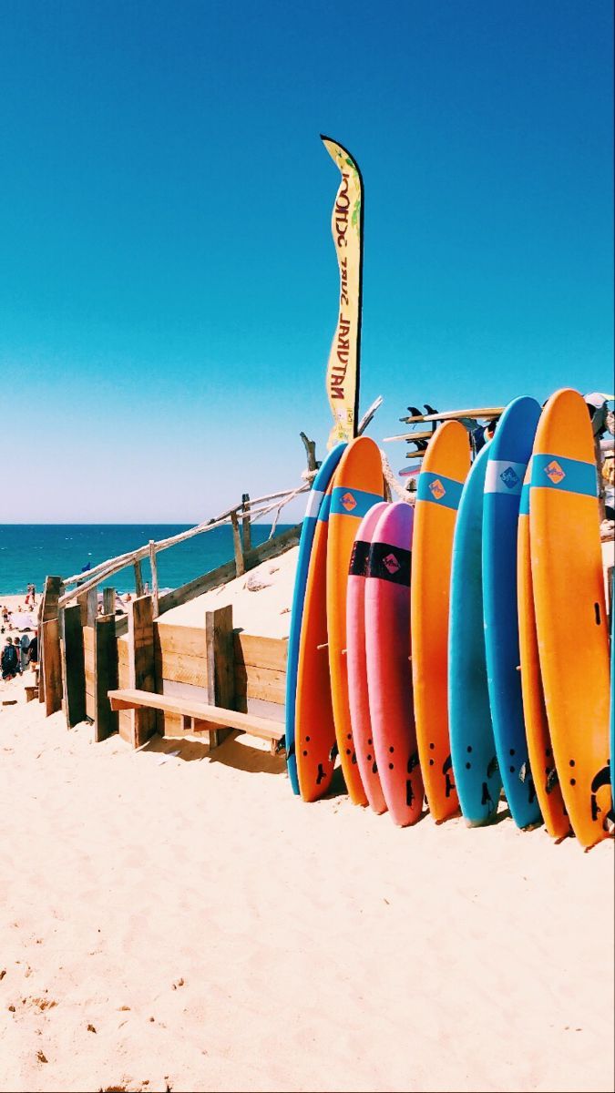 A line of surfboards in different colors are propped up on the beach. - Surf