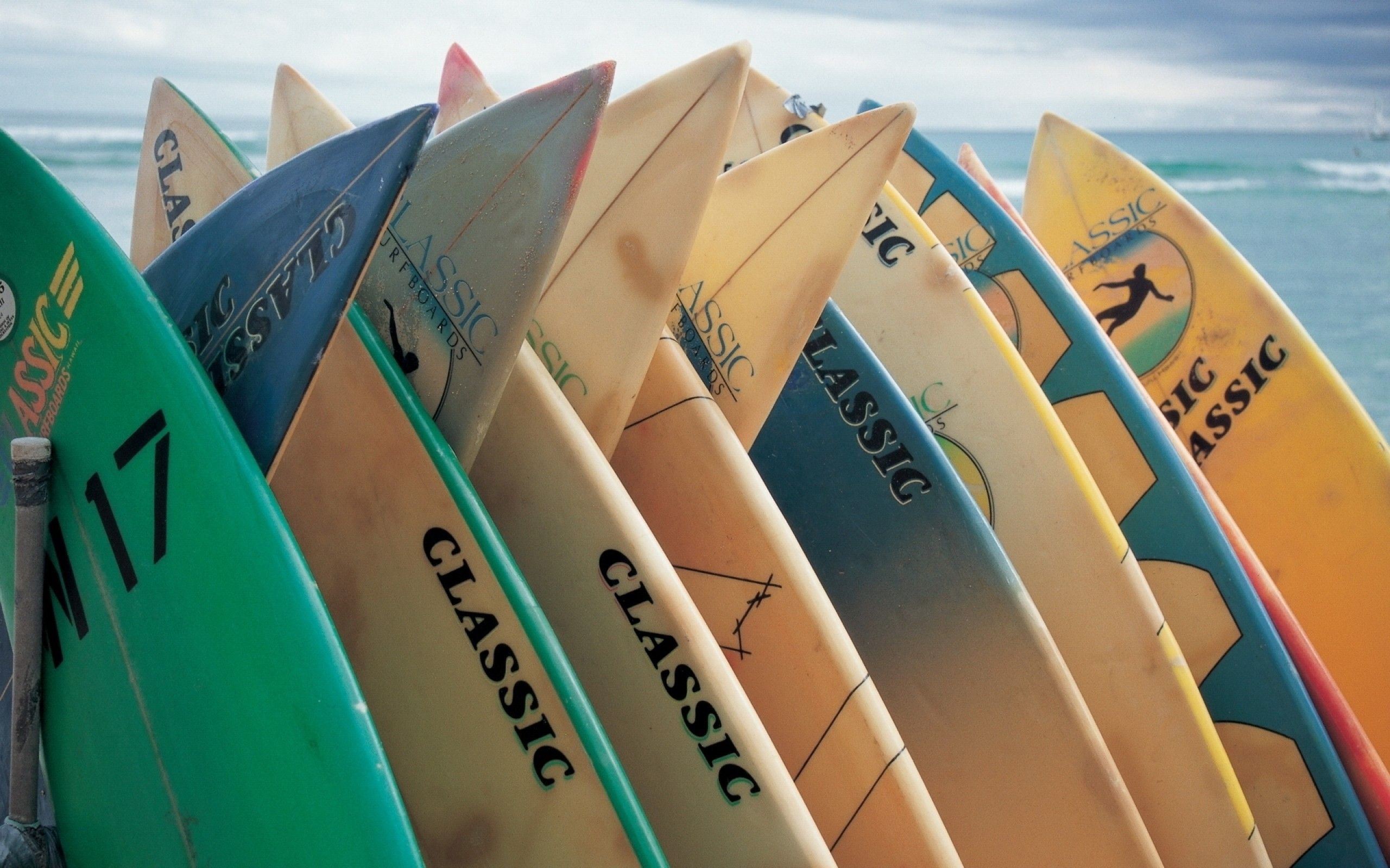 A row of surfboards on the beach - Surf