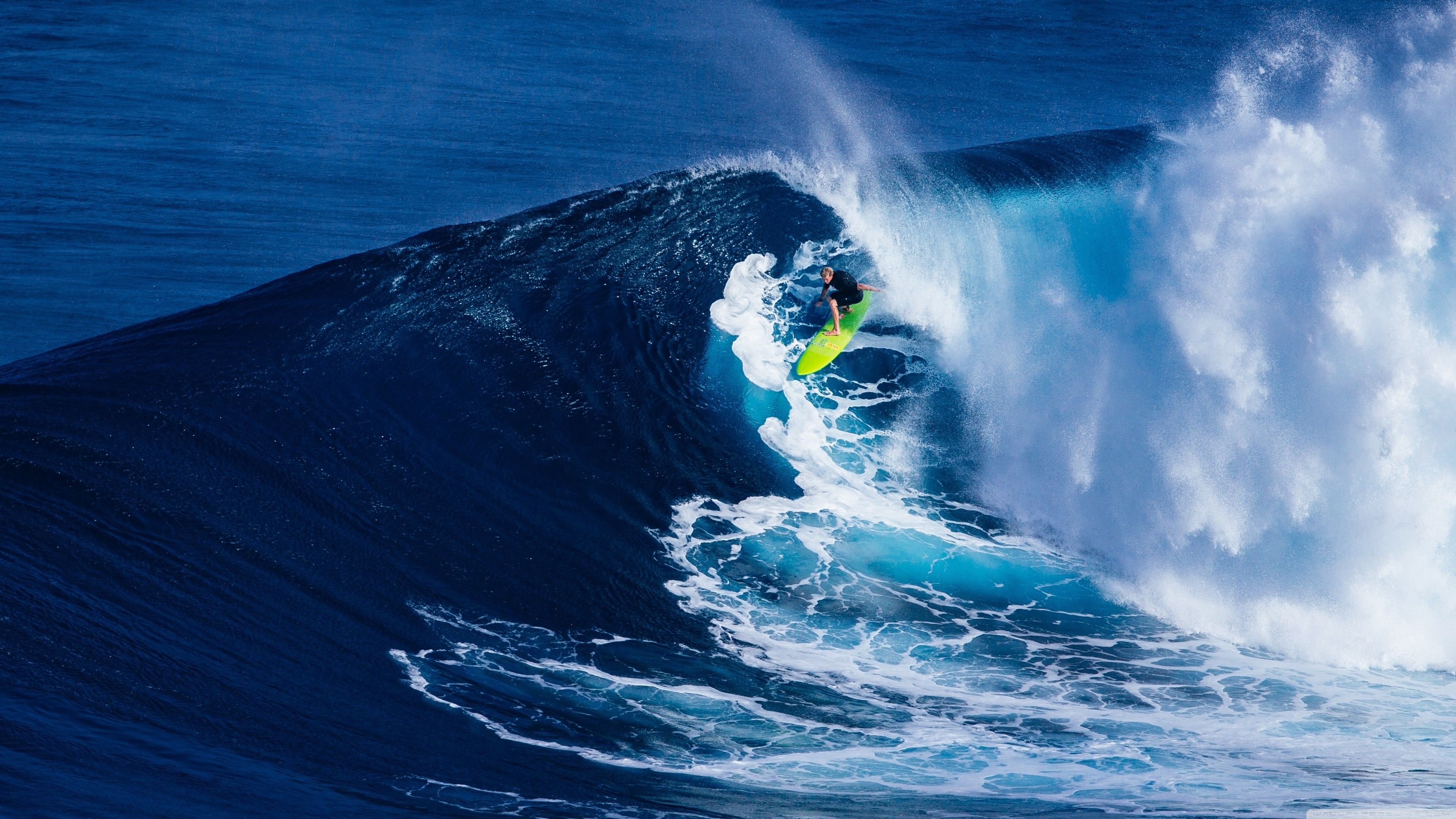 A surfer rides a large wave on a surfboard. - Surf