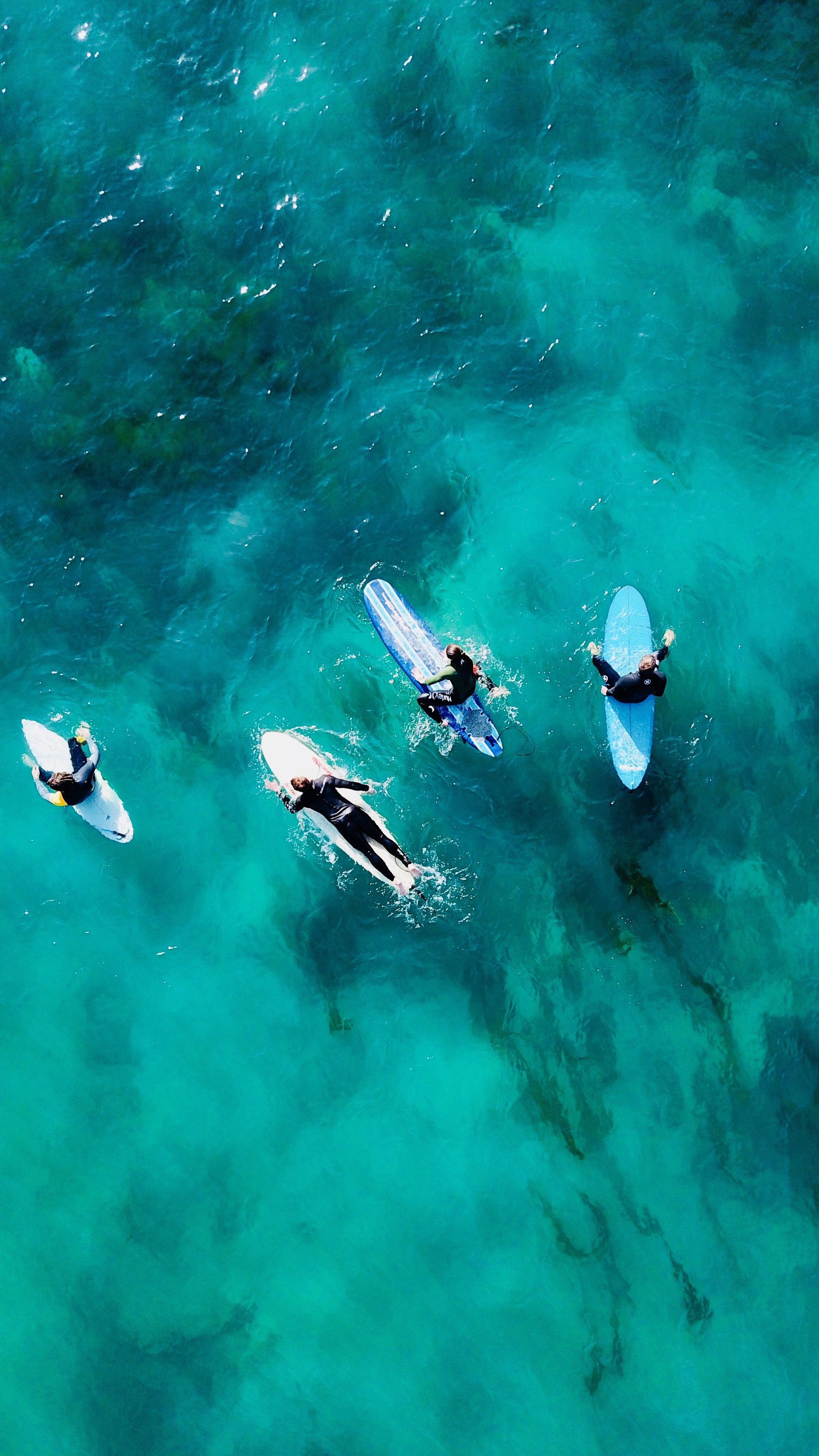 A group of surfers float on their boards in the ocean. - Surf