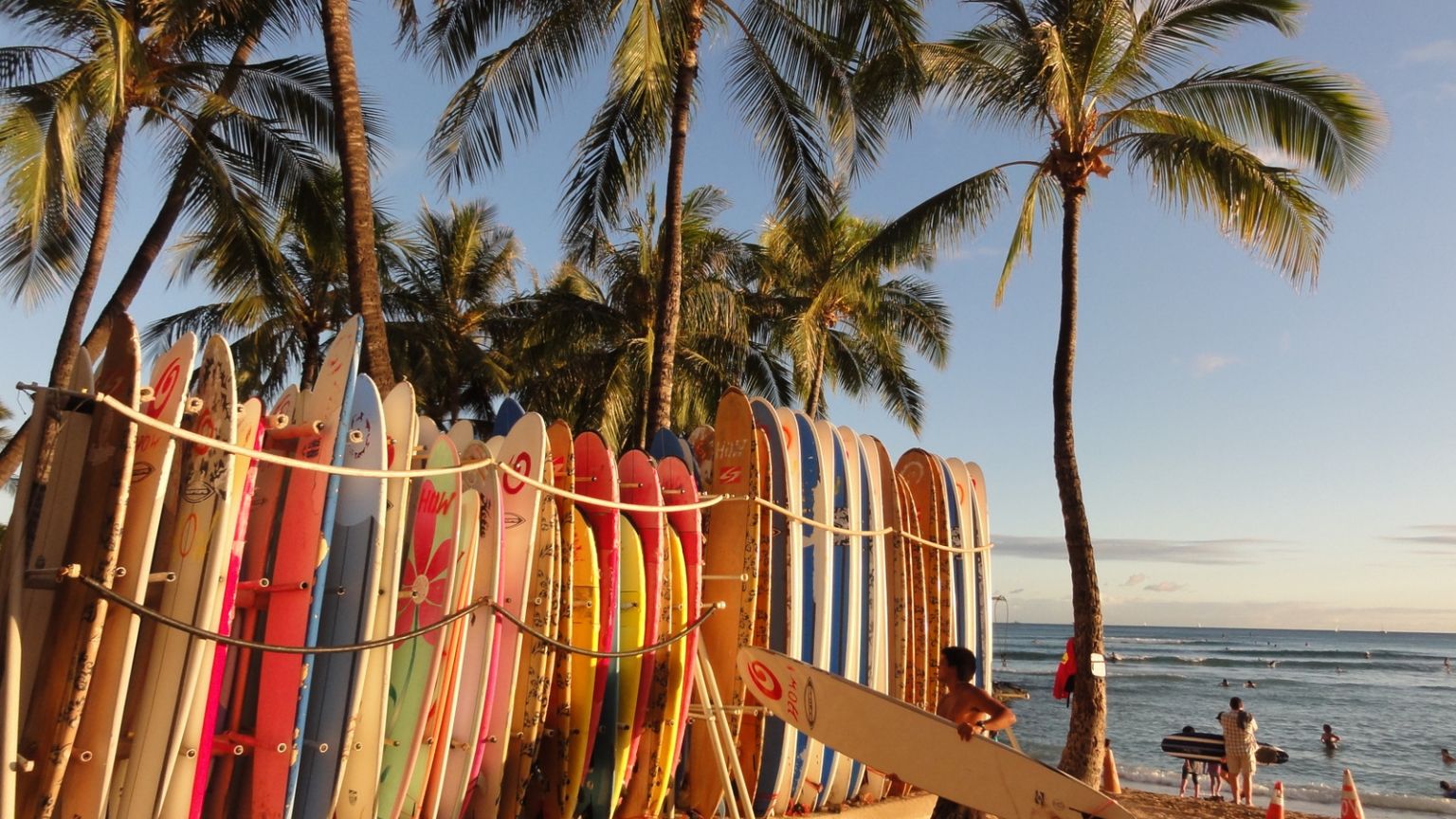 A group of surfboards on the beach - Surf