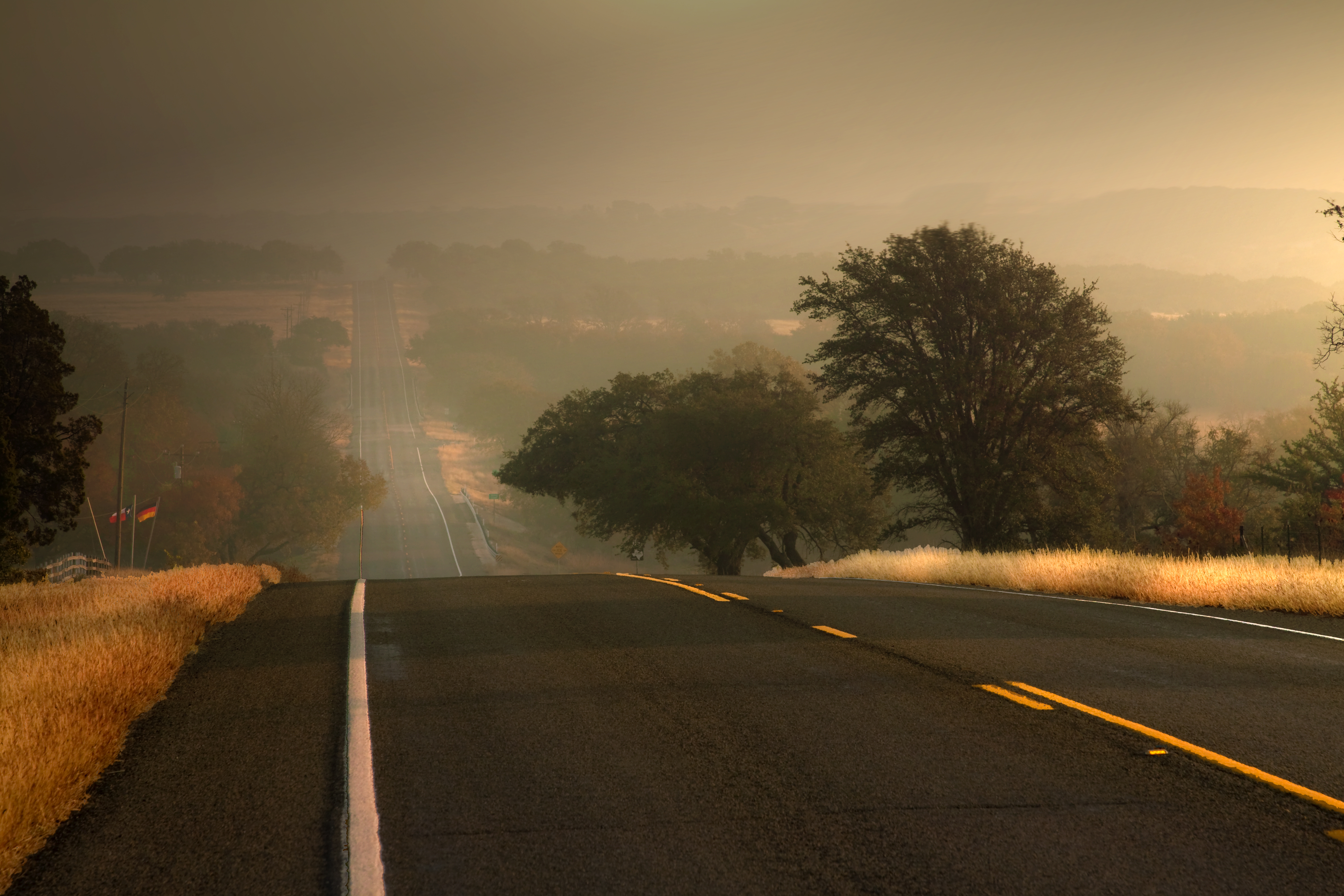 A road stretches out into the distance, framed by dry grass and trees. - Texas