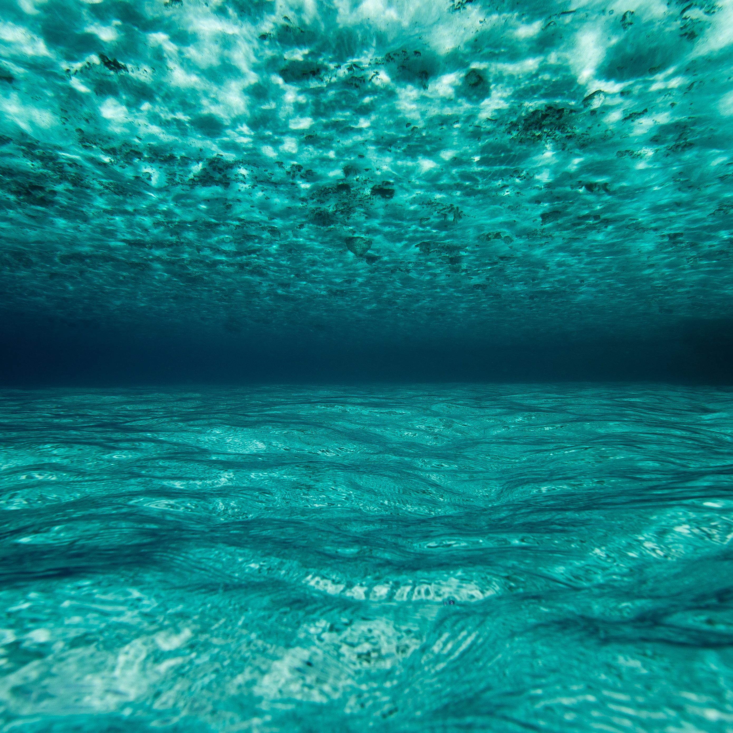 A photo of the ocean floor with blue water and a white sea foam on top. - Underwater