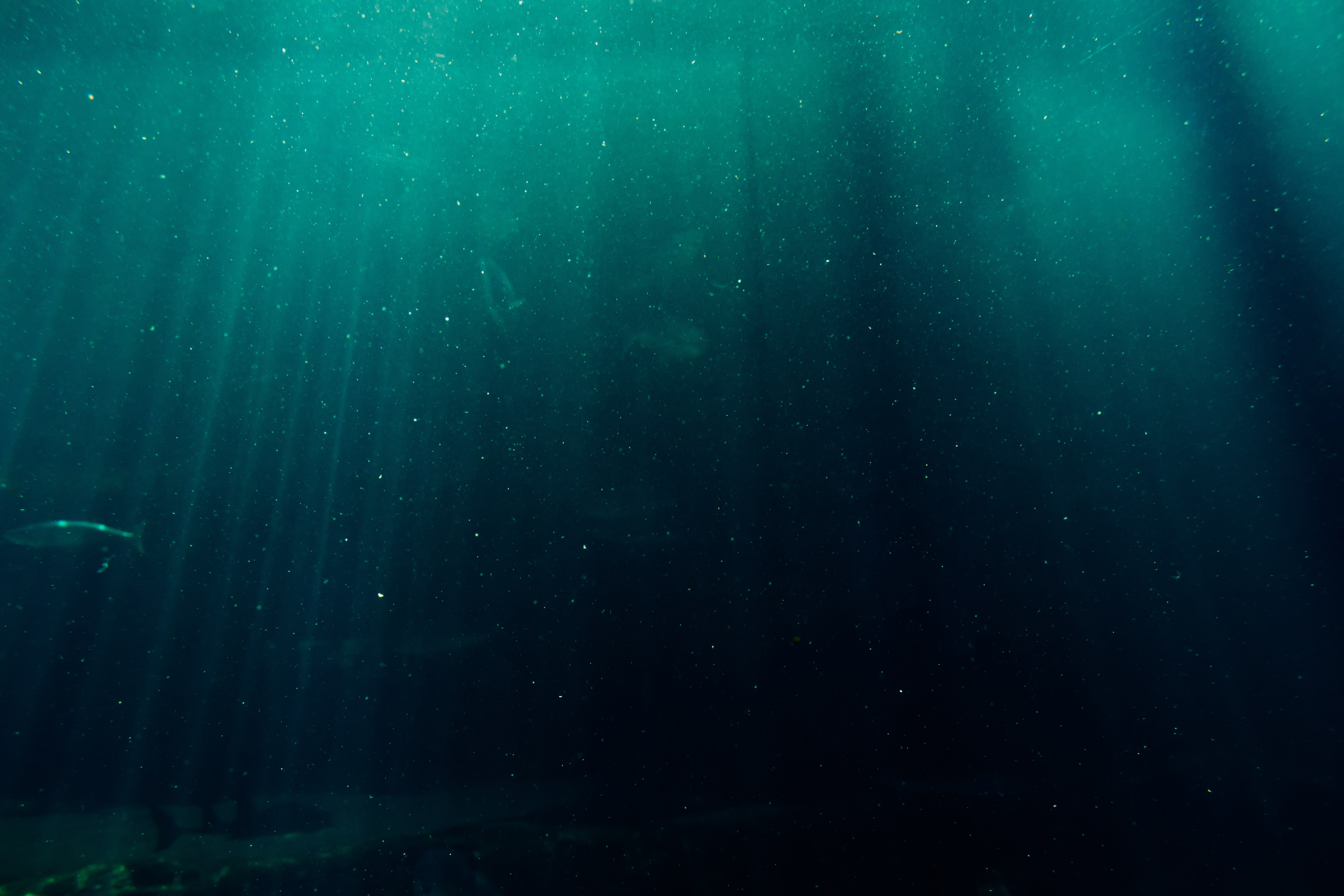 Underwater Photo, Download The BEST Free Underwater & HD Image