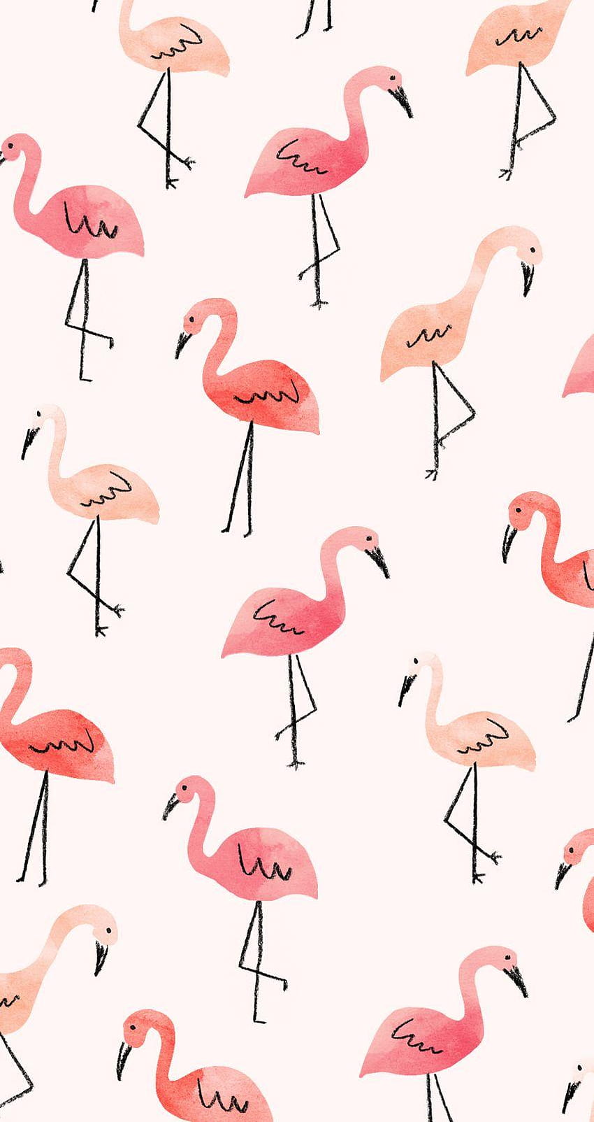 Inspired Idea: New Tech August, flamingo pink HD phone wallpaper