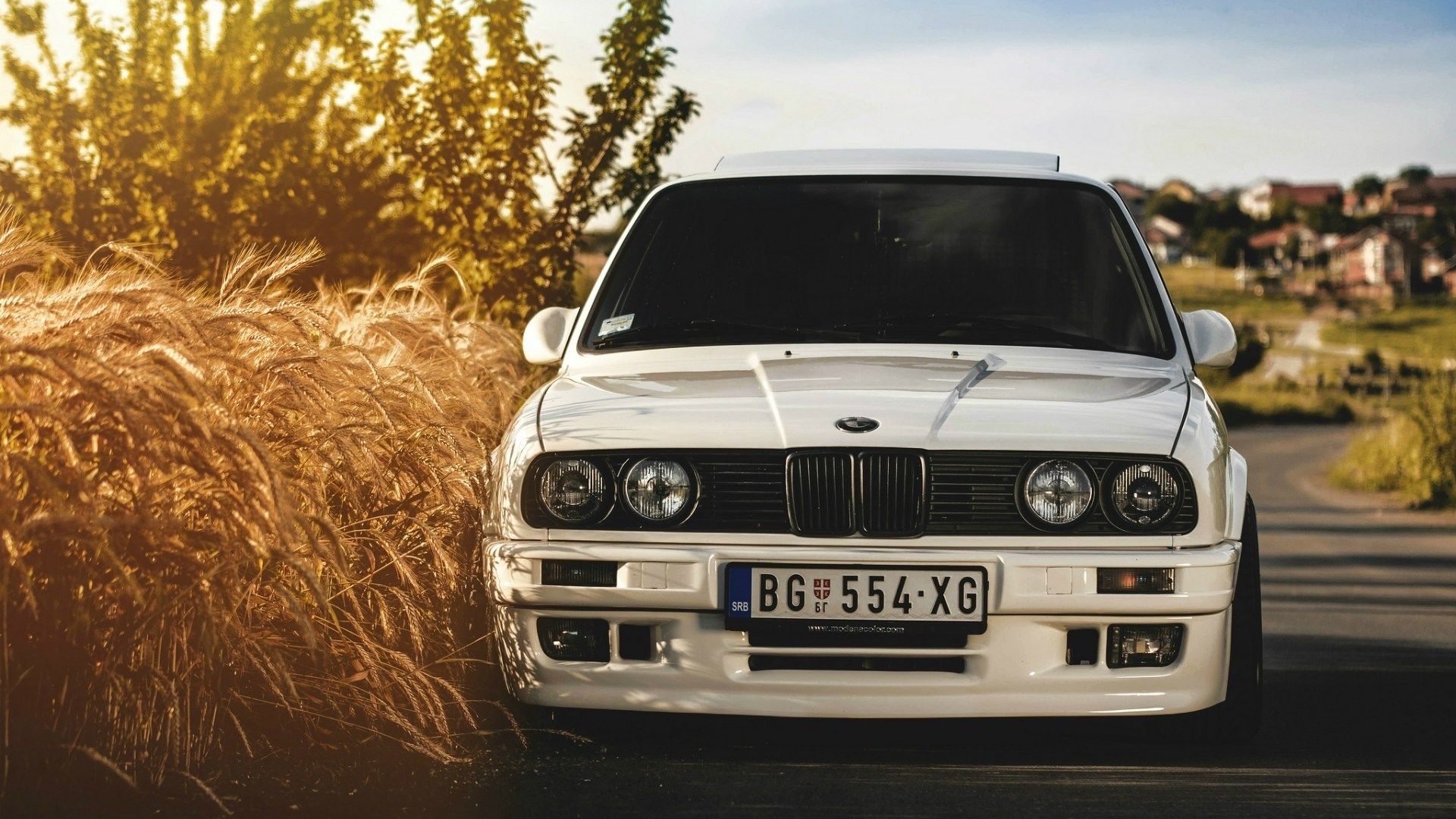 A white BMW E30 in front of a field - BMW