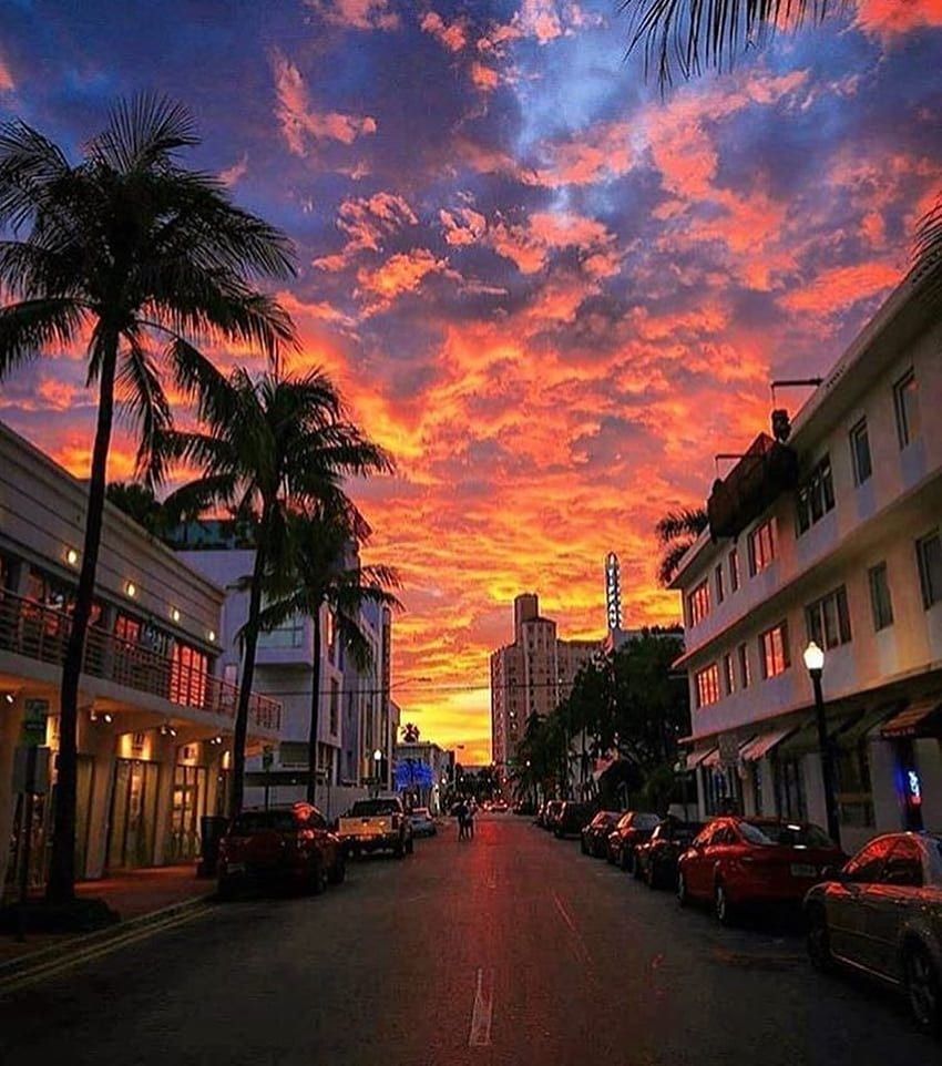 A sunset over a city street with cars parked on the side of the street. - Miami