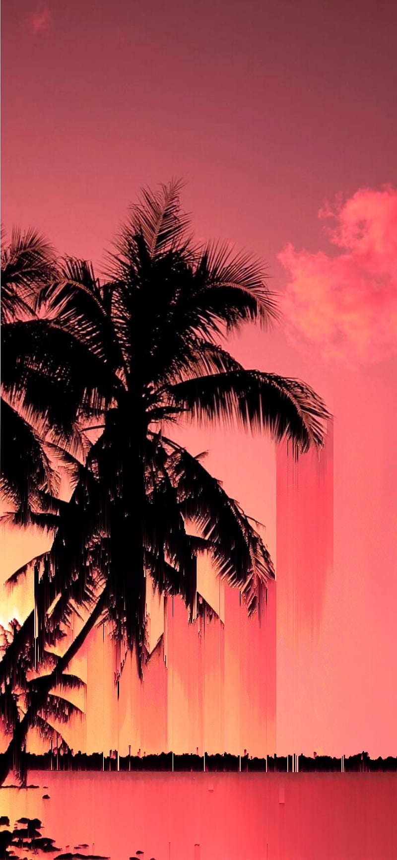 A red and pink sunset with palm trees in the foreground. - Miami