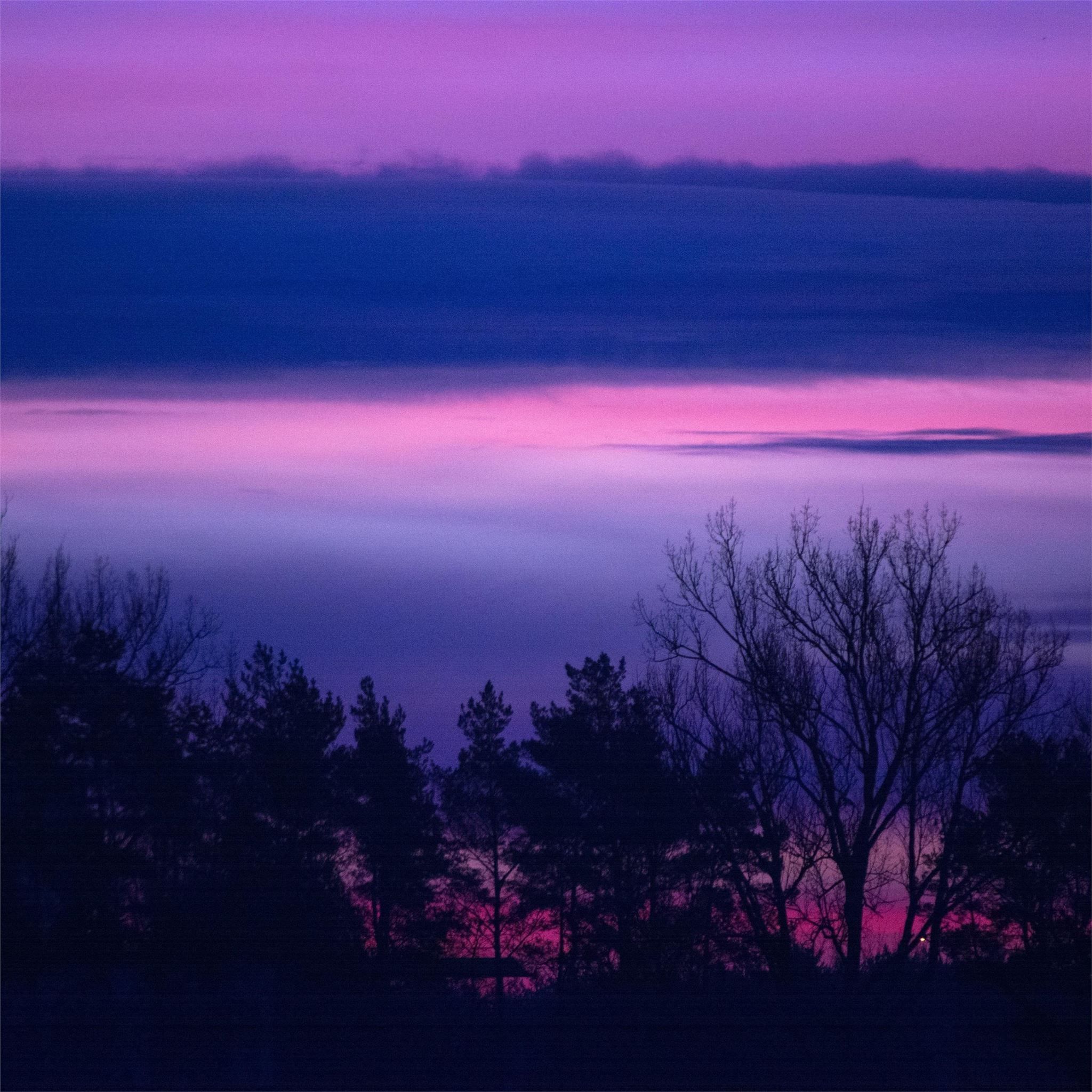 A purple and blue sunset with trees in the foreground. - Landscape