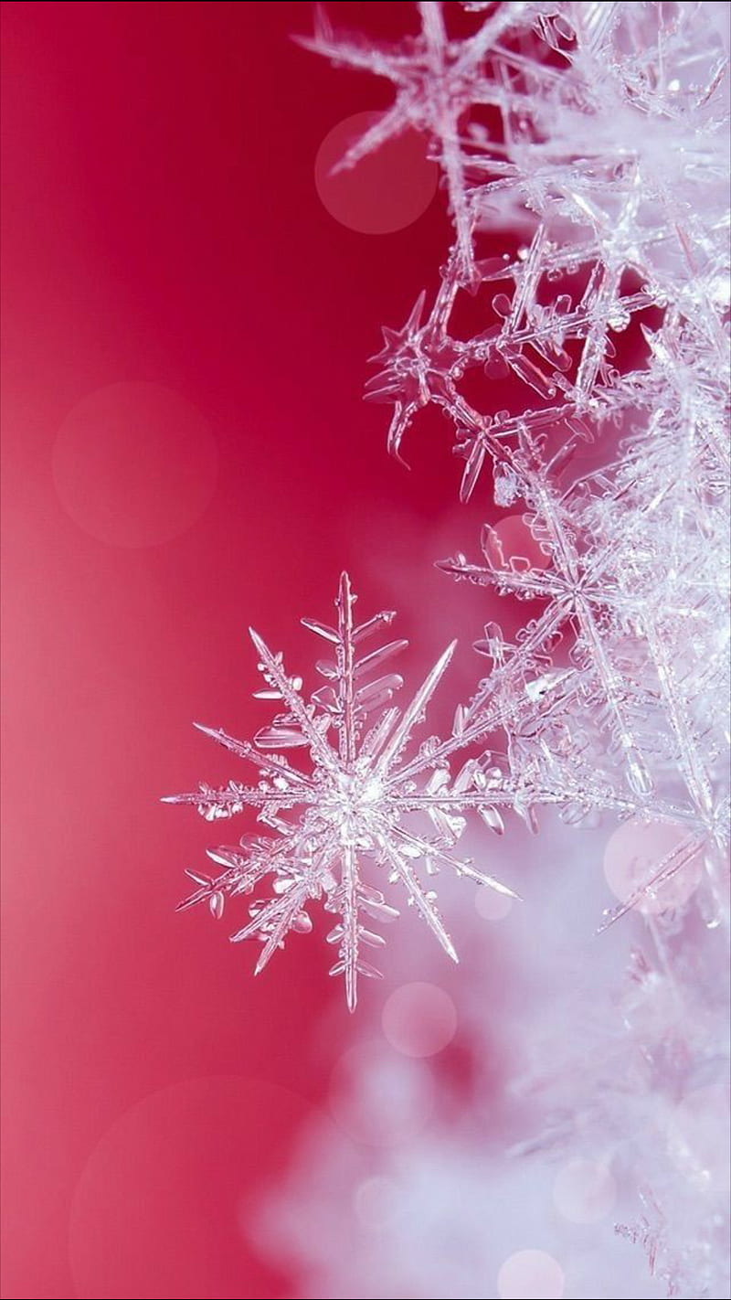 Snowflakes, background, red, snow, HD phone wallpaper