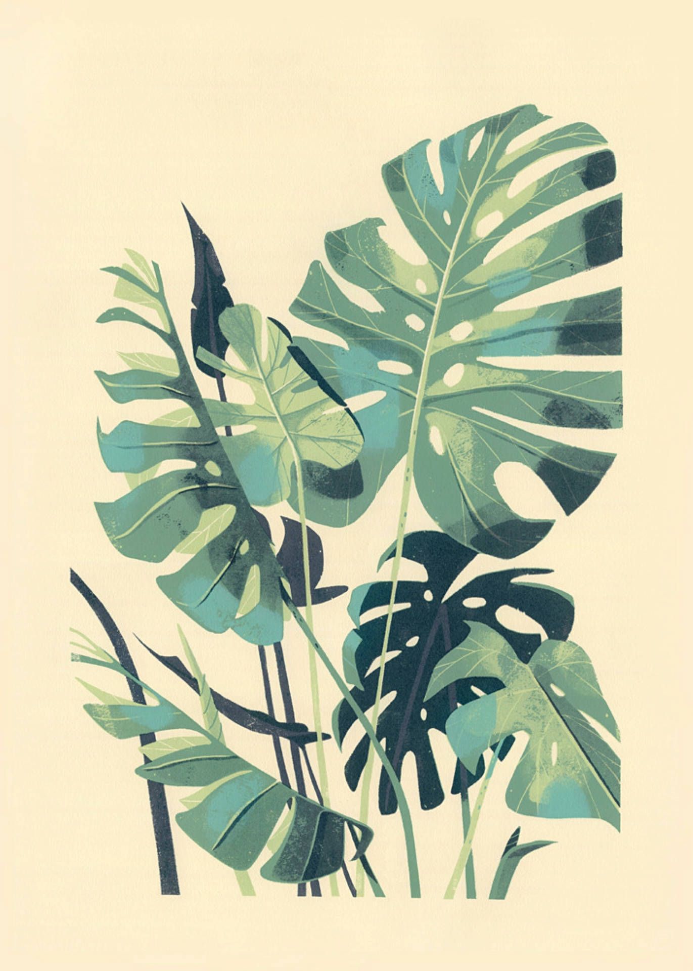 A screen print of a monstera plant by the artist Faye Toogood - Monstera