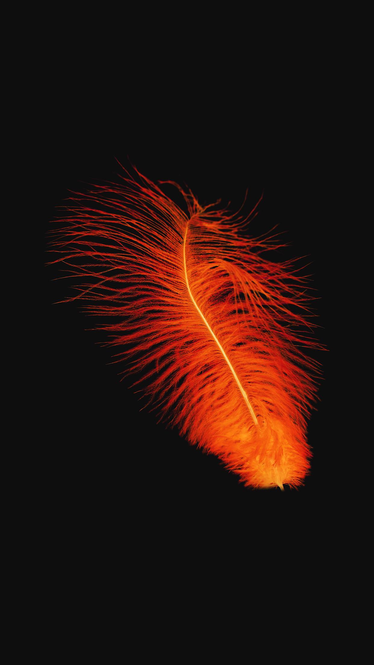 A close up of an orange feather - Dark orange