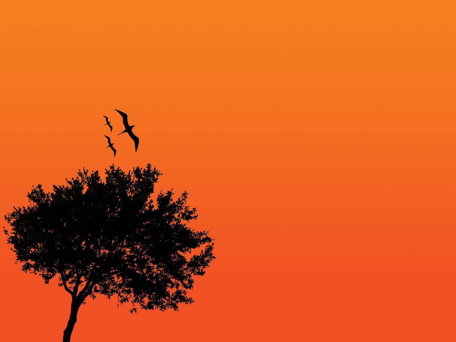 A tree and three birds silhouetted against a bright orange sky. - Dark orange