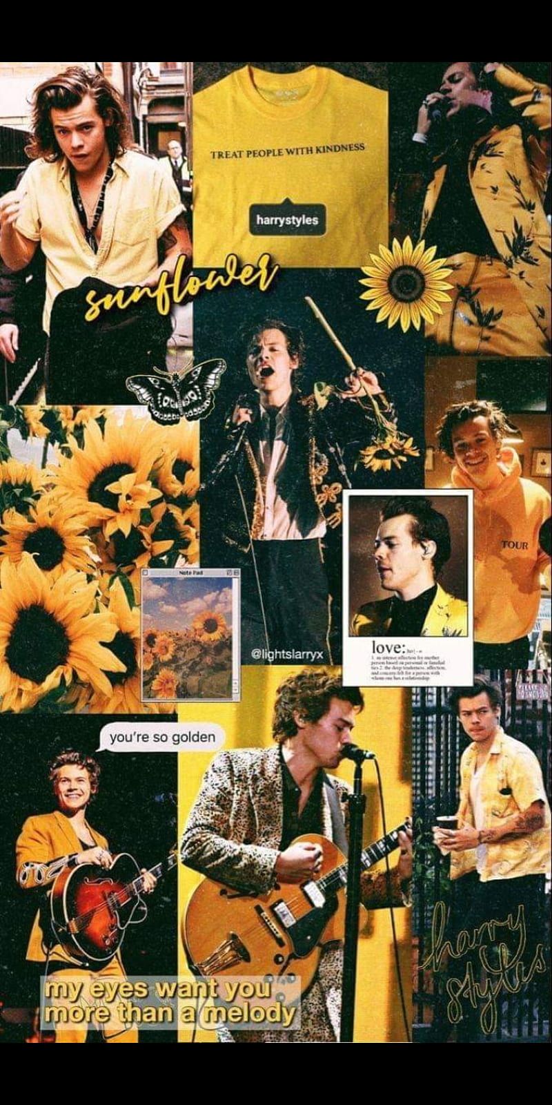 Harry Styles, aesthetic, fine line, golden, handsome, long hair, sunflower, tpwk, HD phone wallpaper