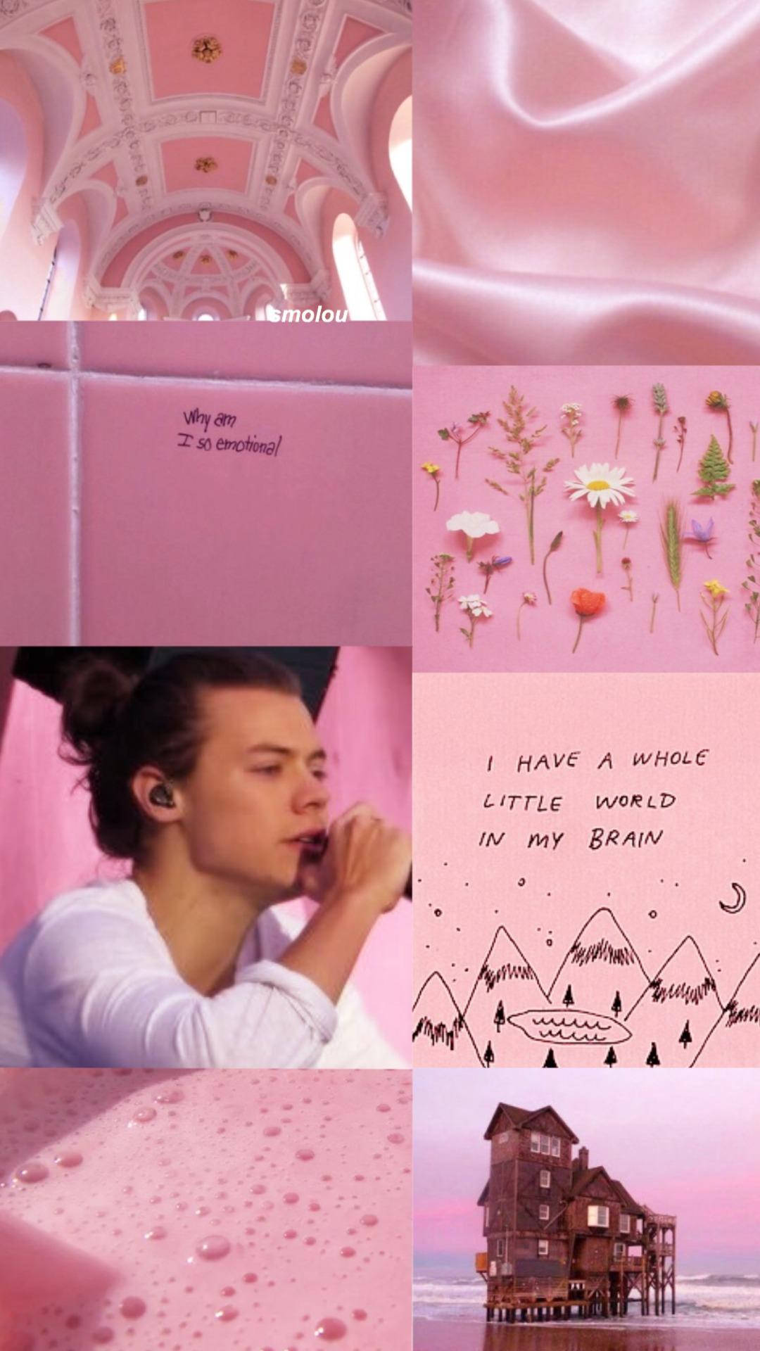 Pink aesthetic wallpaper for phone with high-resolution 1080x1920 pixel. You can use this wallpaper for your iPhone 5, 6, 7, 8, X, XS, XR backgrounds, Mobile Screensaver, or iPad Lock Screen - Harry Styles