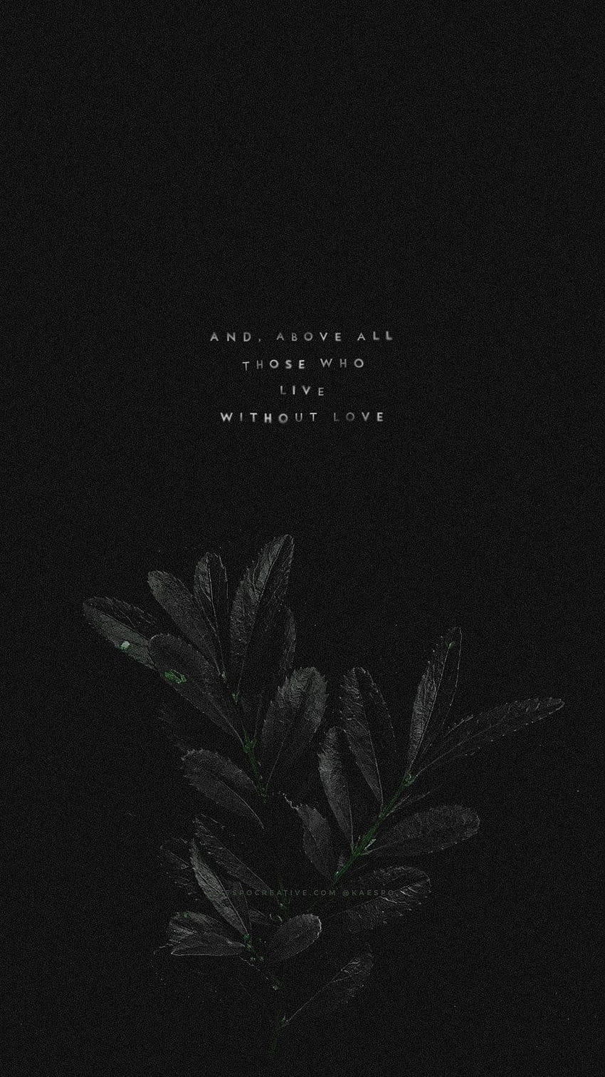 Aesthetic phone wallpaper with a quote from 1 Corinthians 13:13 and a plant illustration. - Dark phone