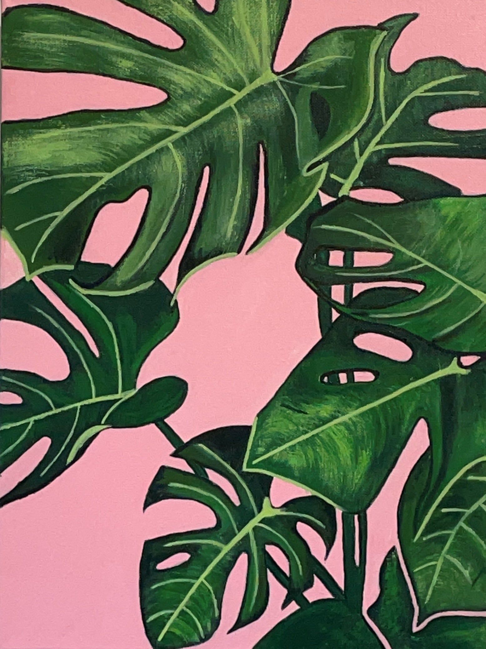 A painting of a monstera plant against a pink background - Monstera