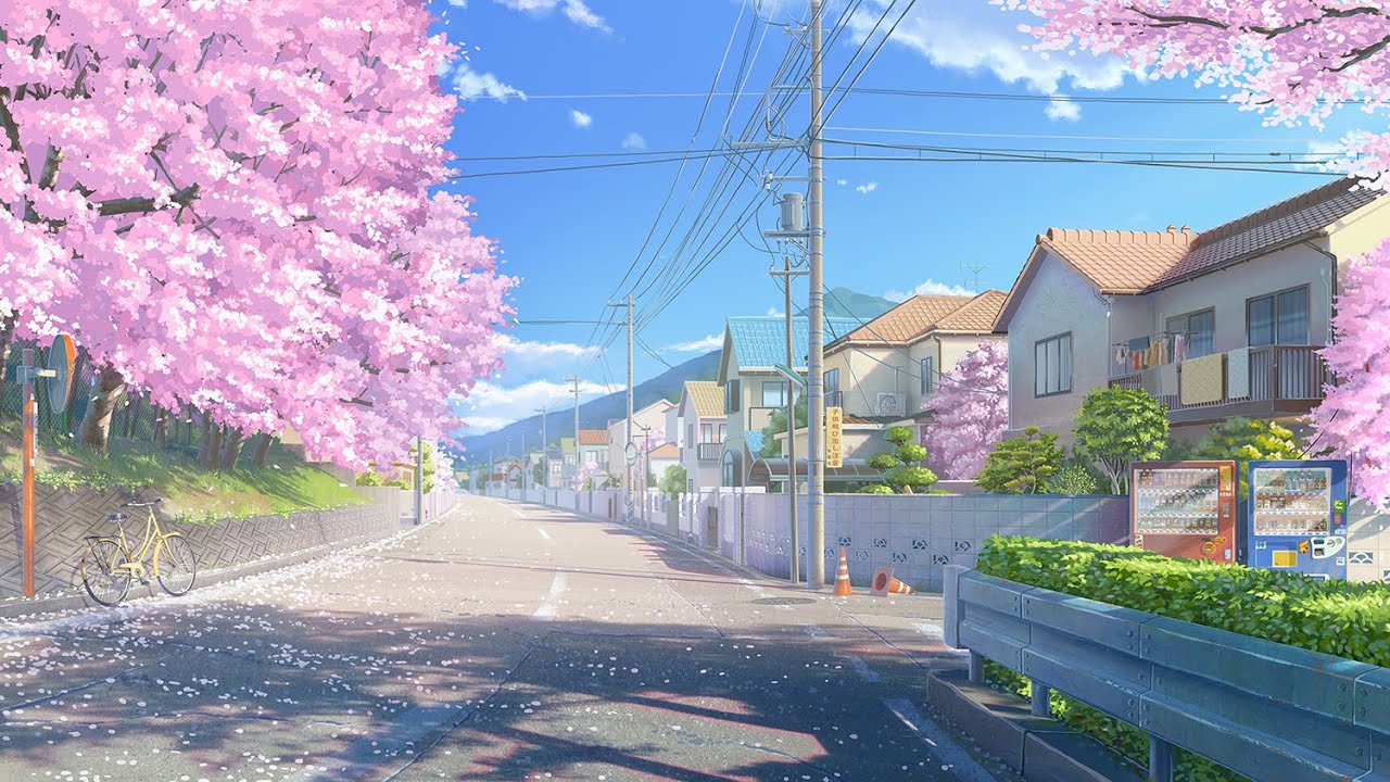 A street with trees and houses in the background - Cherry blossom