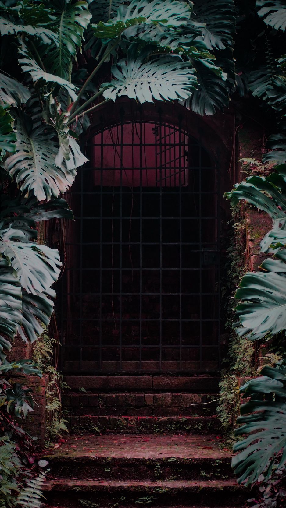 IPhone wallpaper of a doorway surrounded by greenery - Monstera