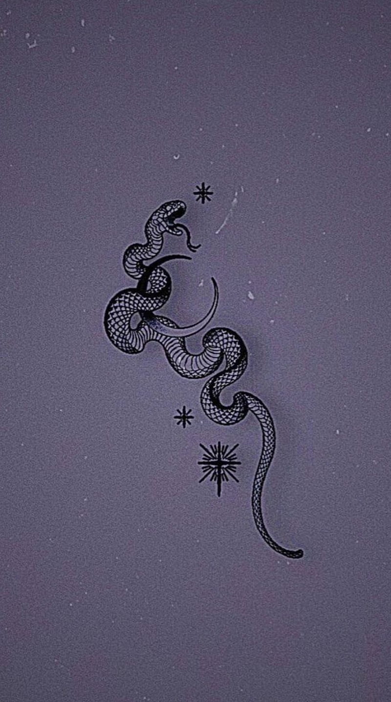 A snake is on the wall with stars - Snake