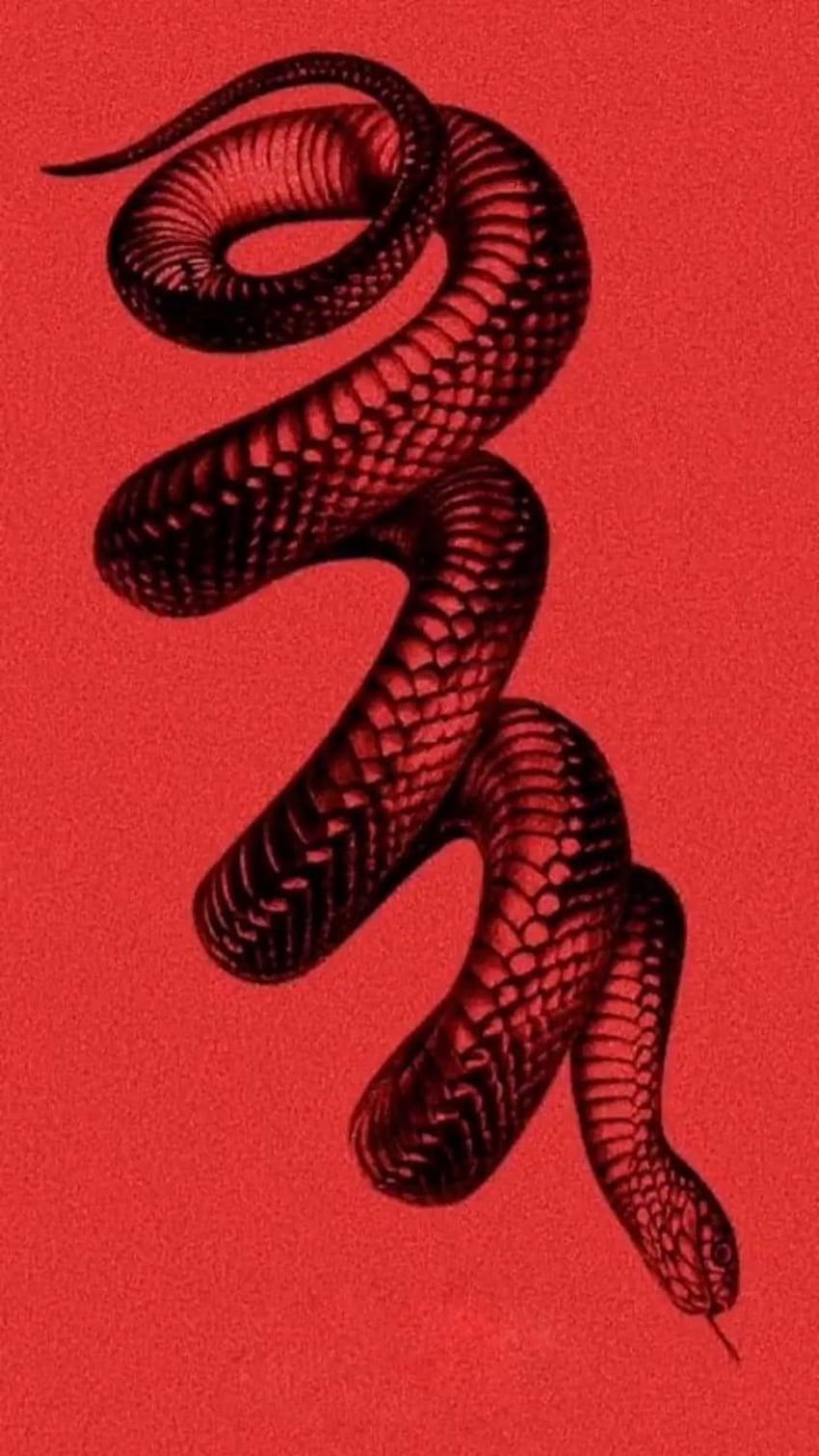 The snake and its tail - Red, snake