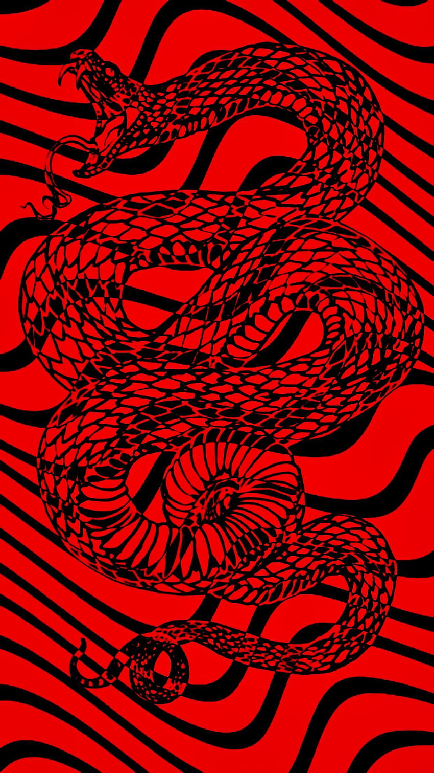 Black and red snake HD wallpaper