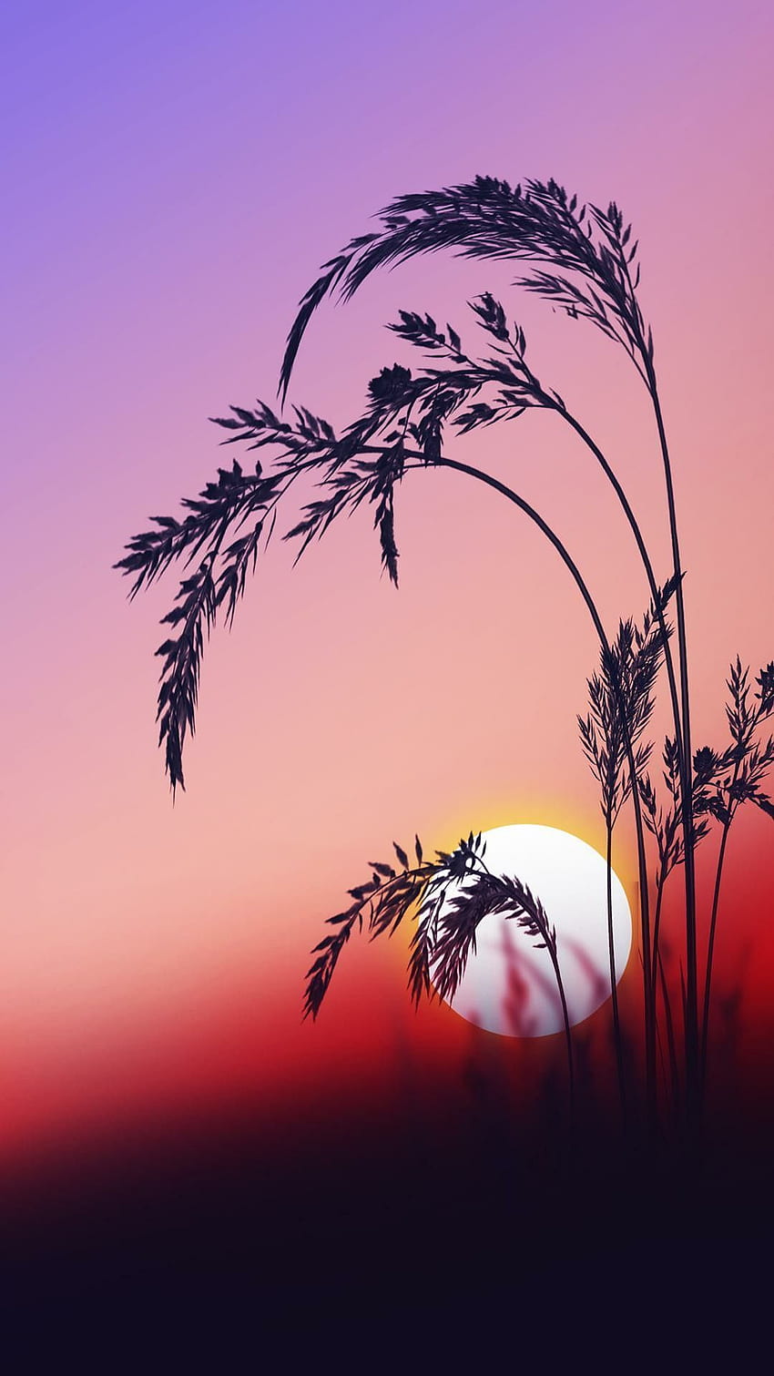 Pretty sunrise aesthetic HD wallpaper