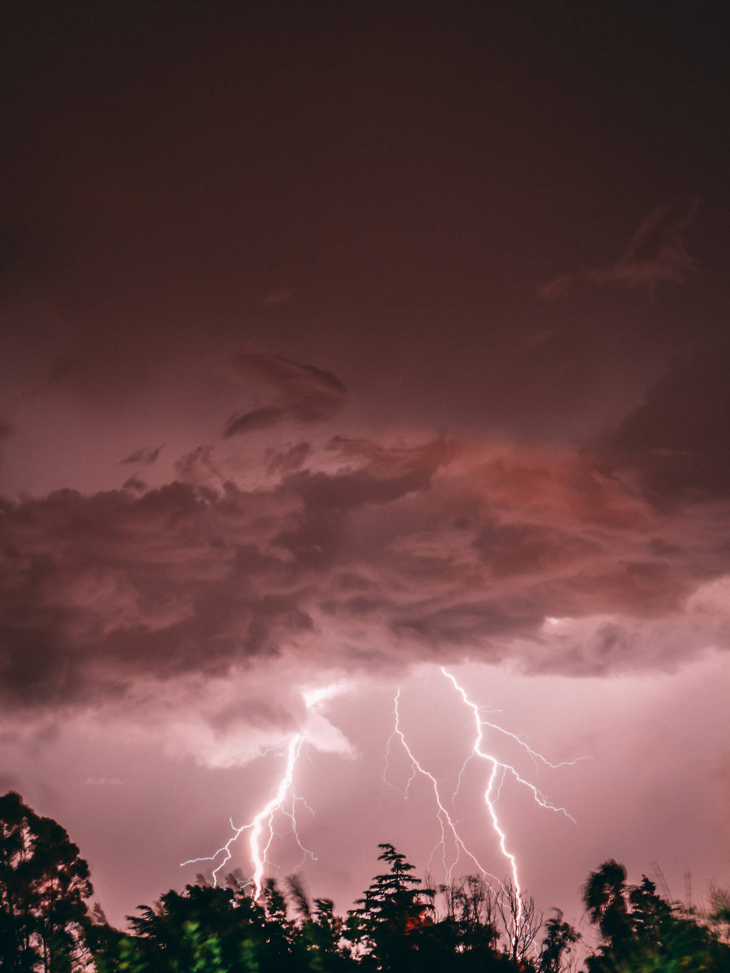 Lightning strikes during a storm - Lightning