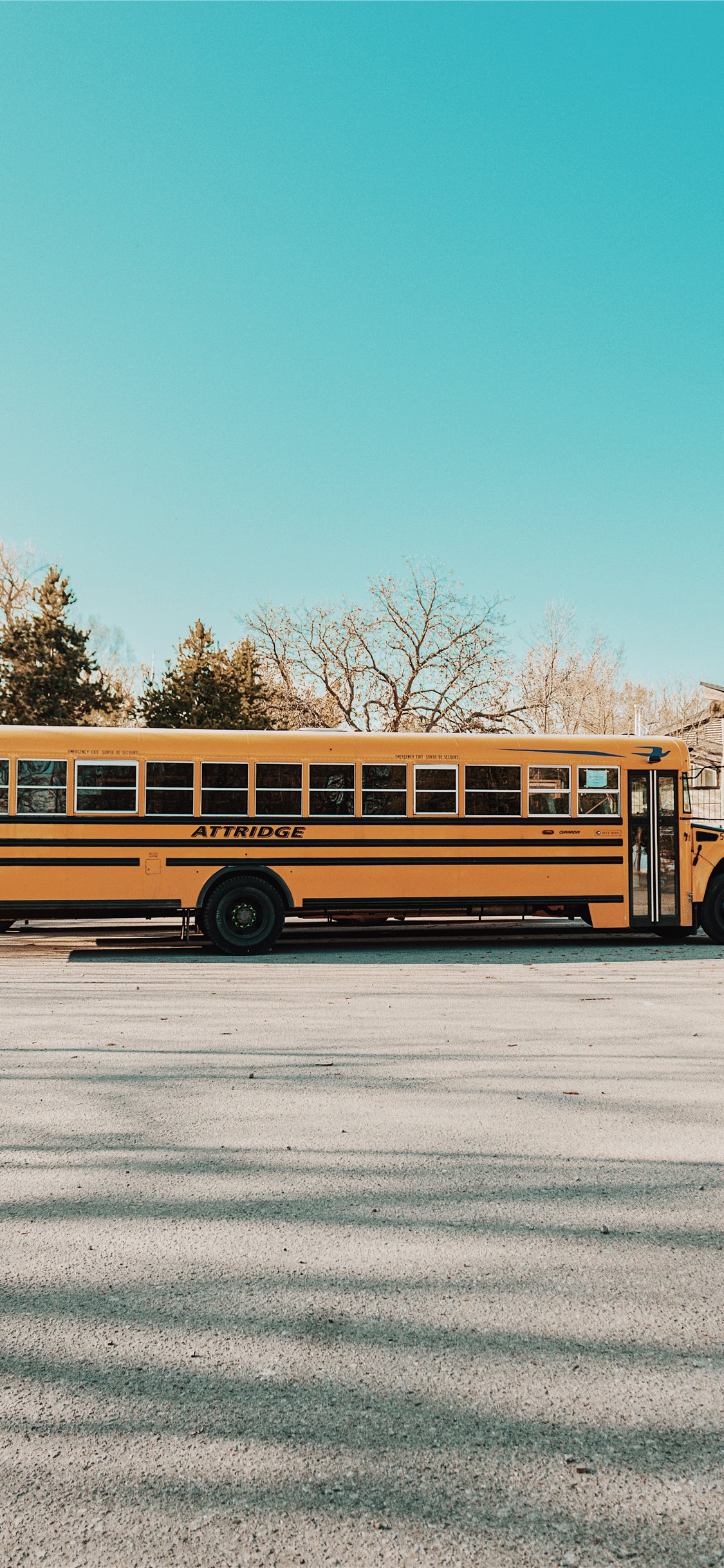 A yellow school bus parked in the street - School