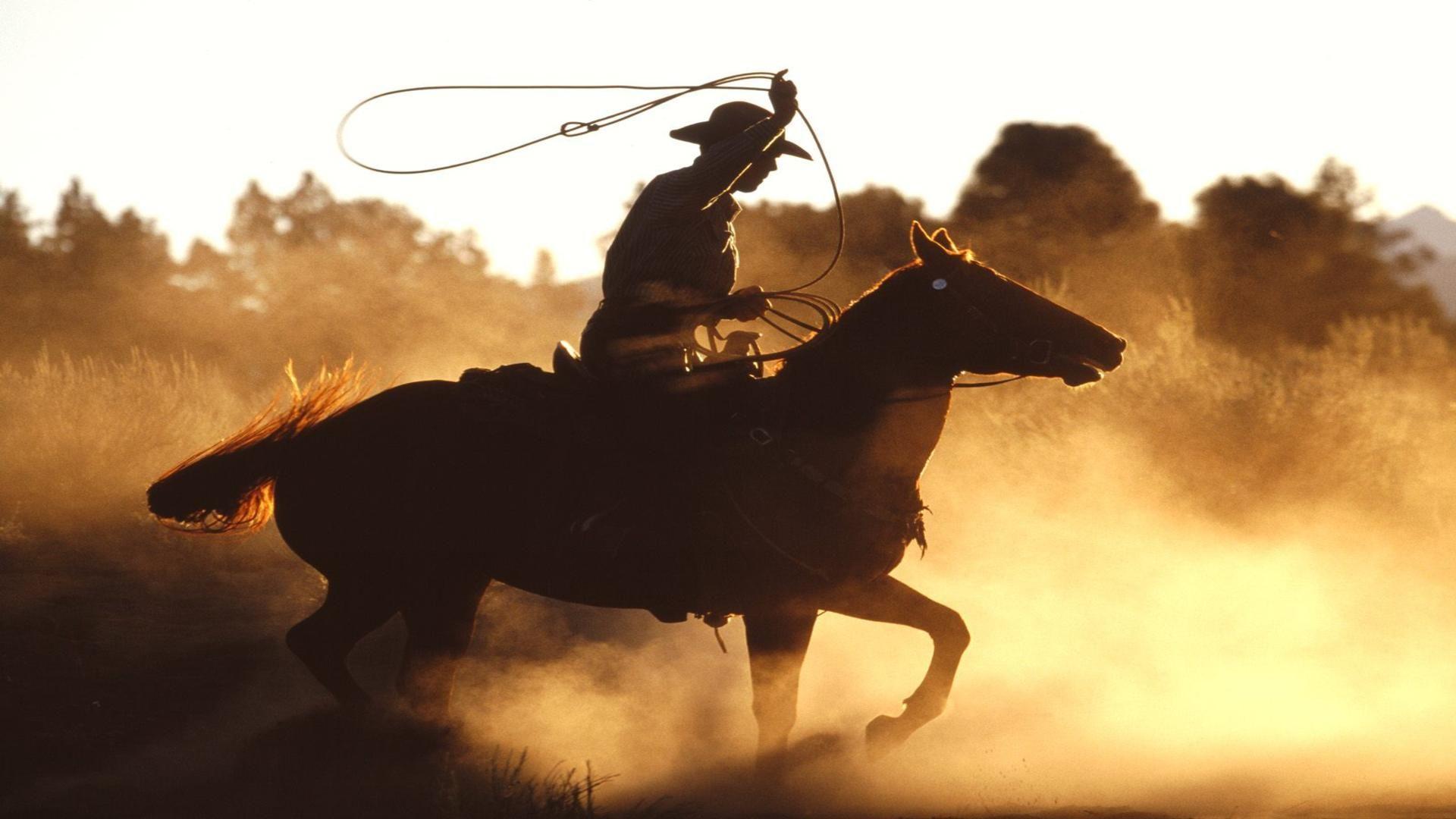 A cowboy riding a horse in the sunset - Western