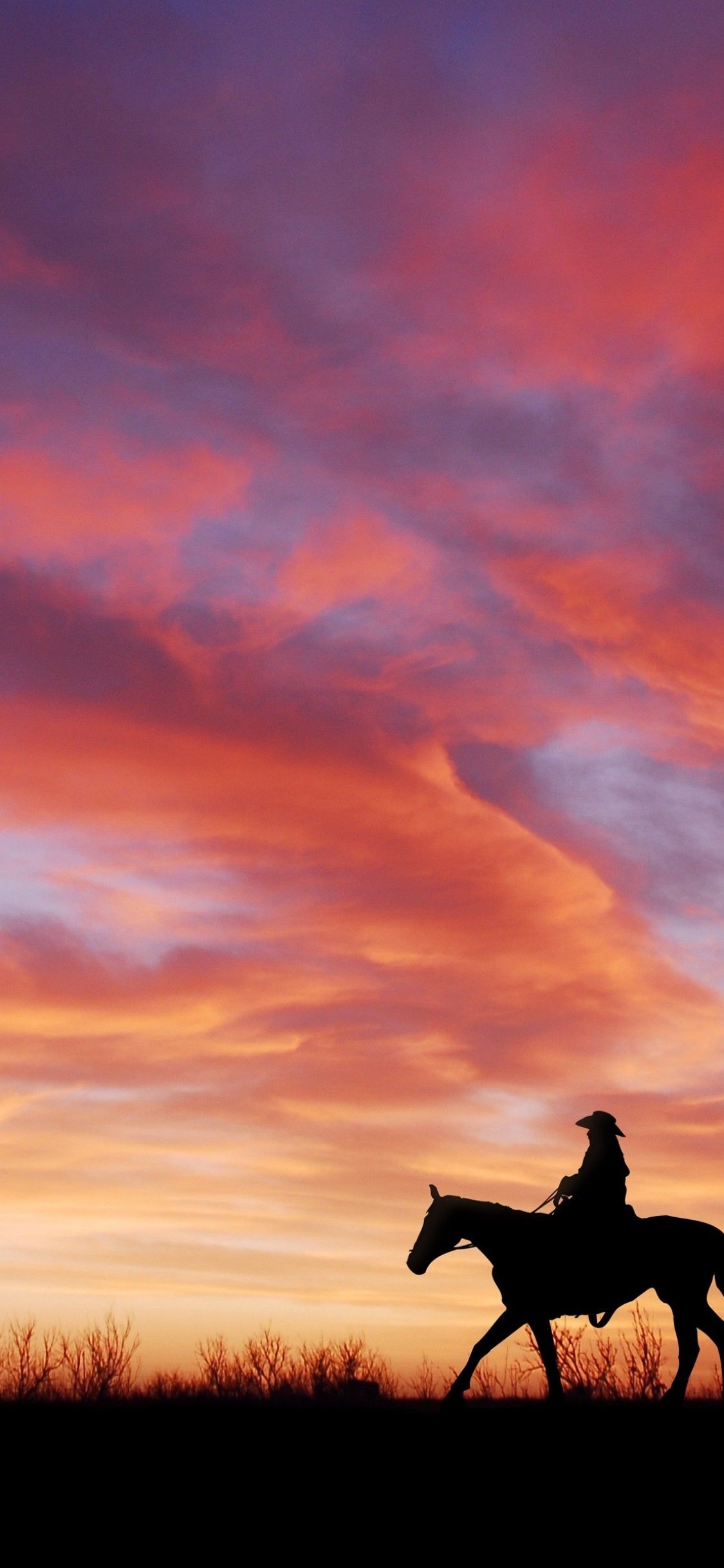 A silhouette of a cowboy riding a horse in the sunset - Western, cowgirl