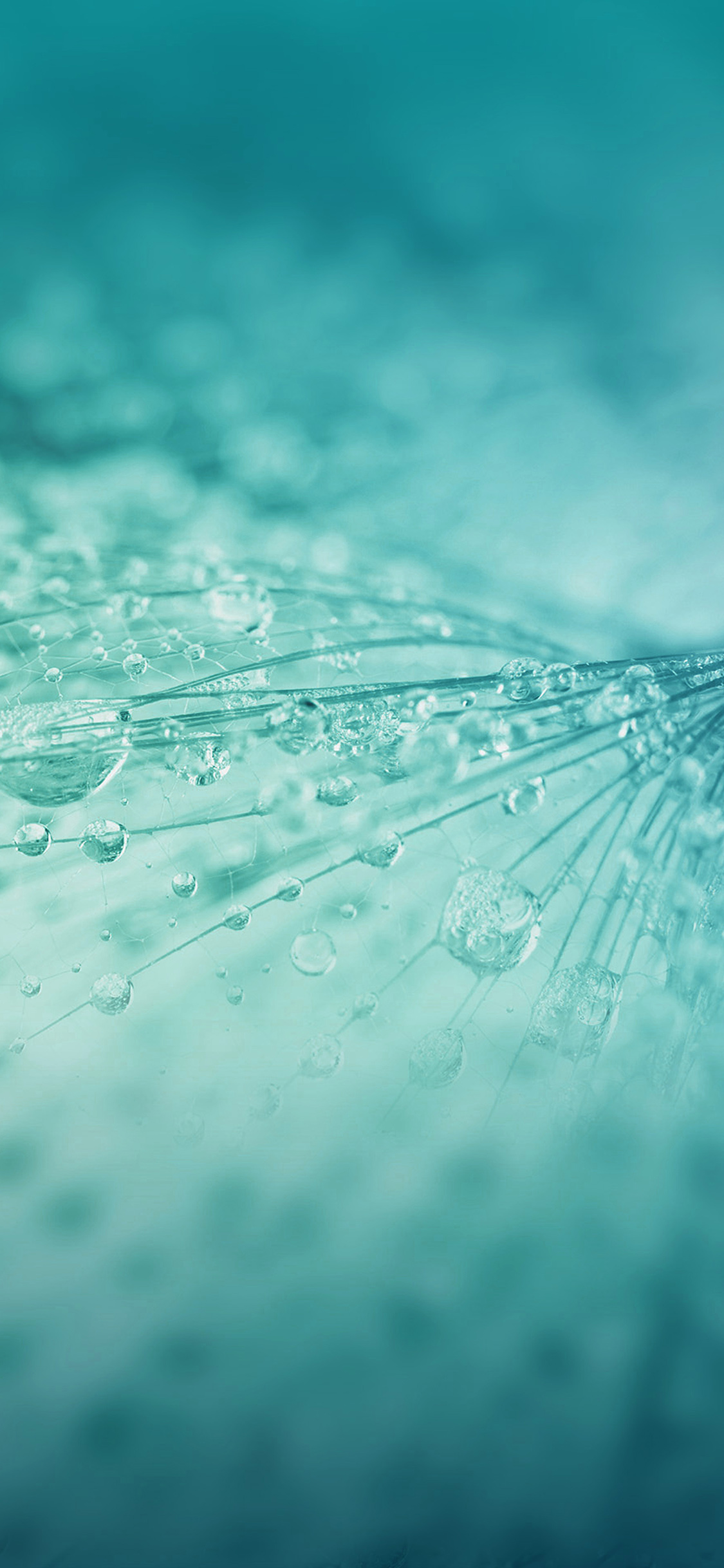 A close up of water droplets on a surface. - Aqua