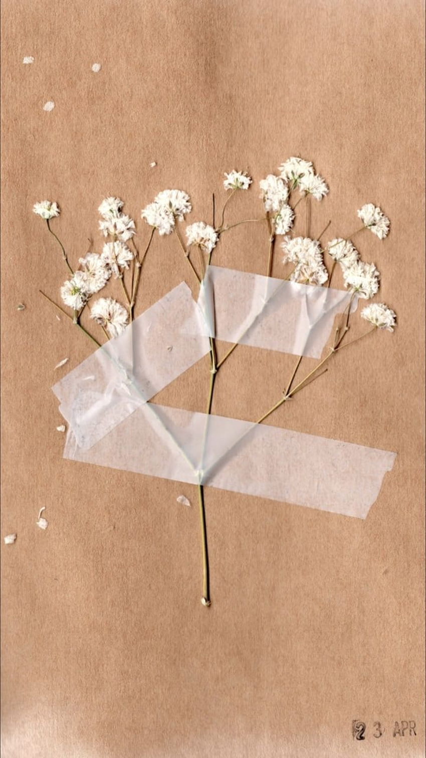 A piece of brown paper, with a white piece of tape, and some small white flowers, taped to it - Beige