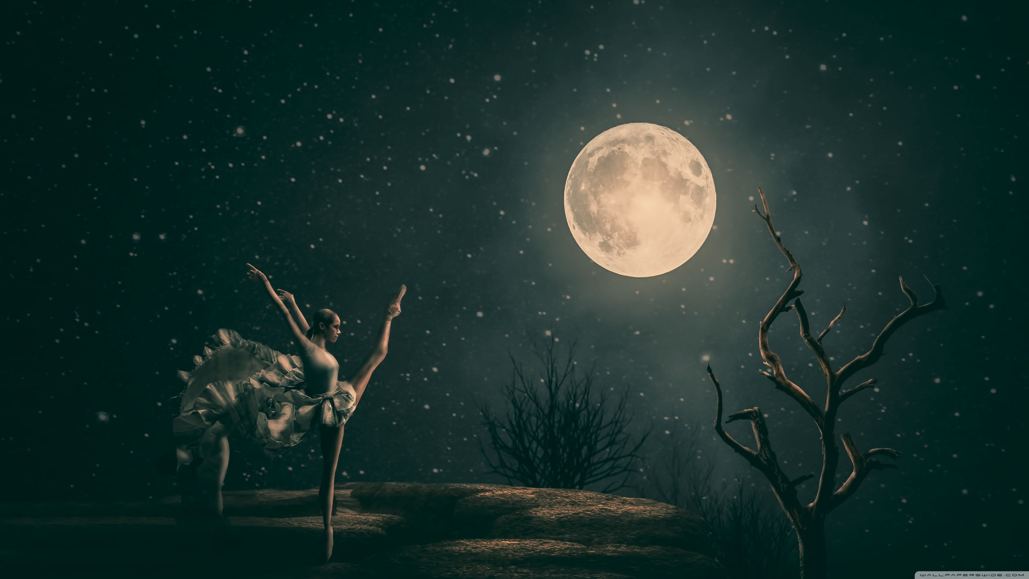 Ballerina in the moonlight wallpaper - Artistic wallpapers - #33130 - Dance