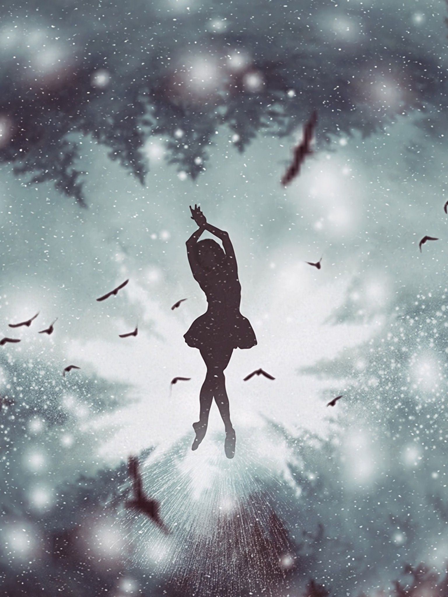 A silhouette of a ballerina with birds flying around her. - Dance