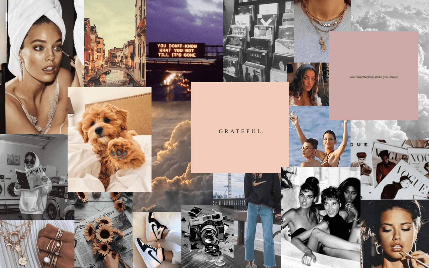 A collage of photos including a woman, a dog, a camera, and a pink box that says 