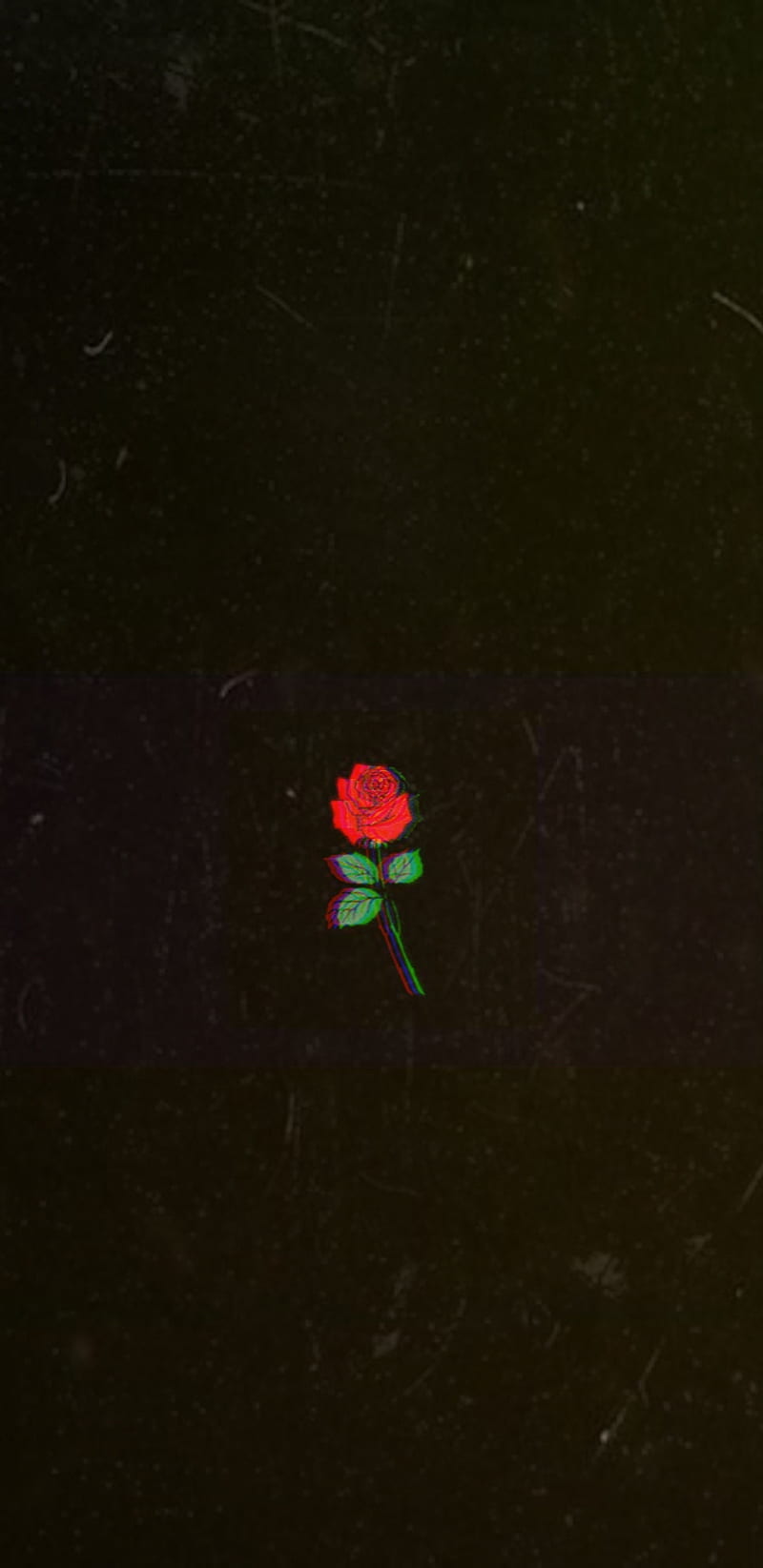 Aesthetic wallpaper of a red rose on a black background - Glitch
