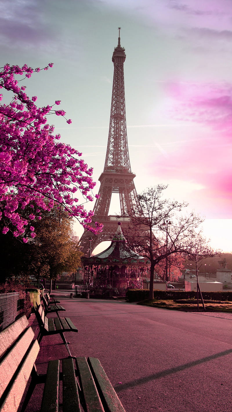 The Eiffel Tower in Paris, France with a pink sky and cherry blossoms. - Eiffel Tower, Paris