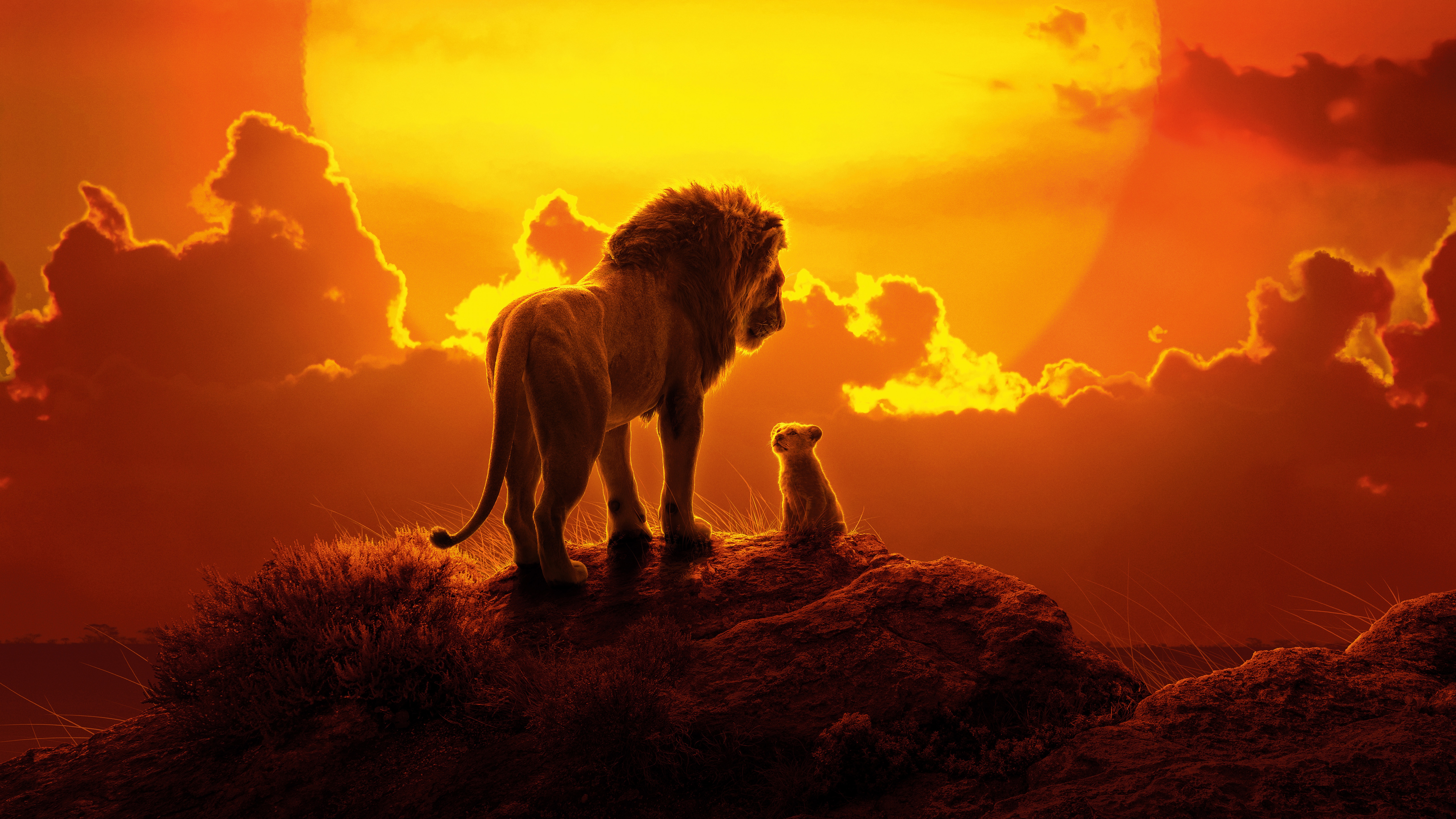 A lion and its cub stand on a hillside at sunset. - The Lion King