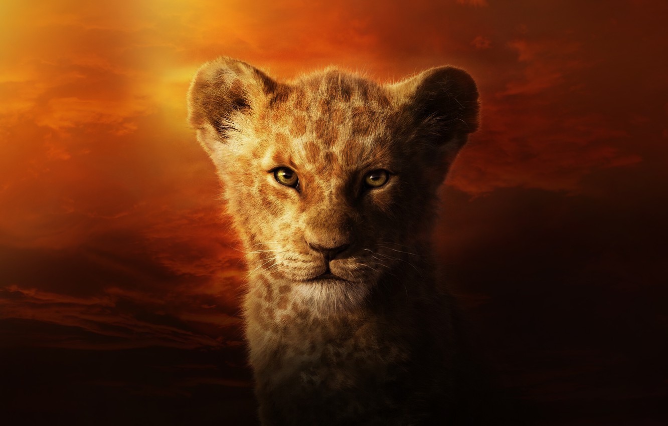 Photo Wallpaper Cat, Leo, Face, The Lion King, Simba, King Vs Black Panther
