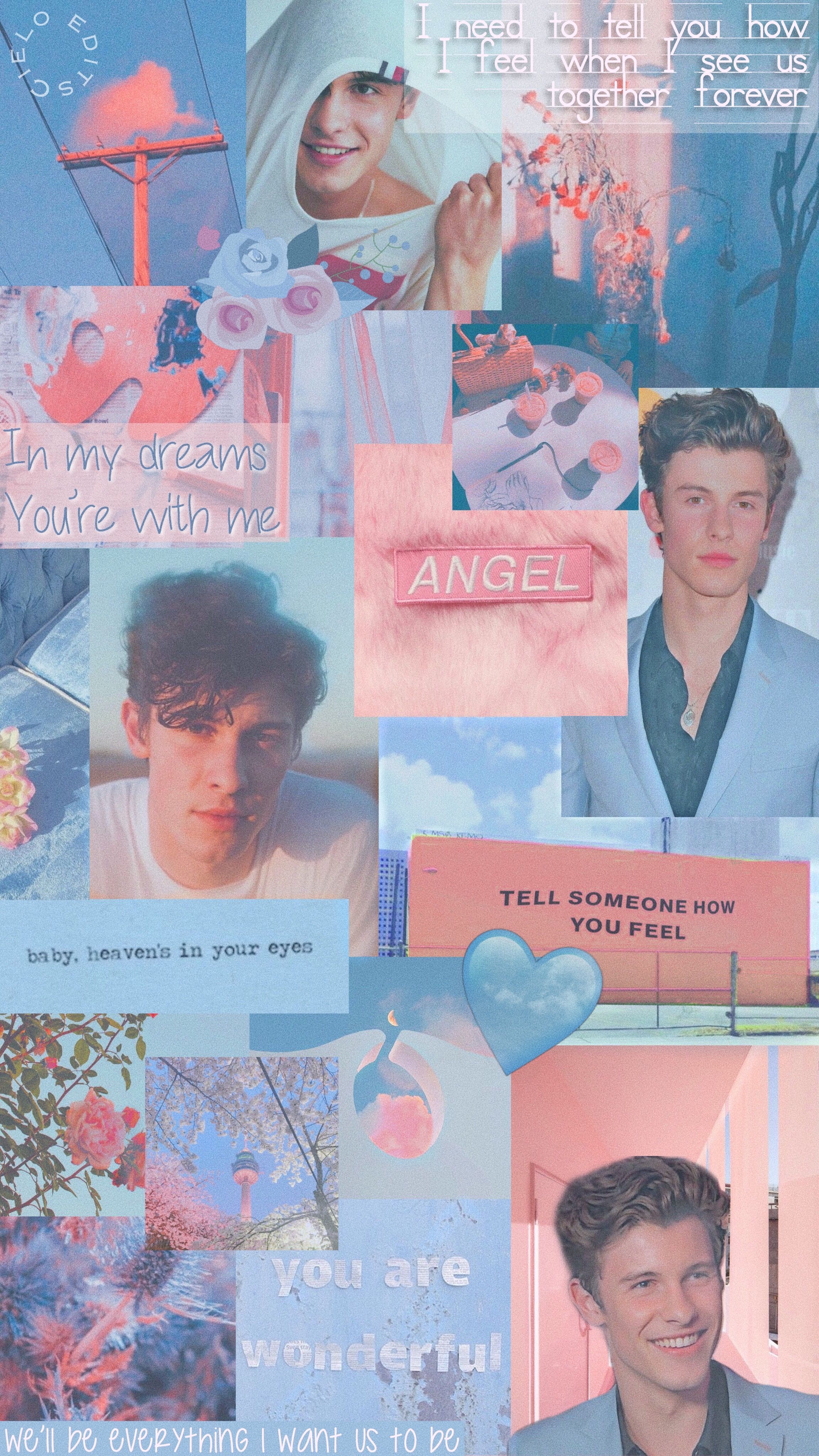 Shawn Mendes wallpaper. Pink and lightblue Aesthetic. Shawn mendes wallpaper, Shawn mendes songs, Shawn mendes