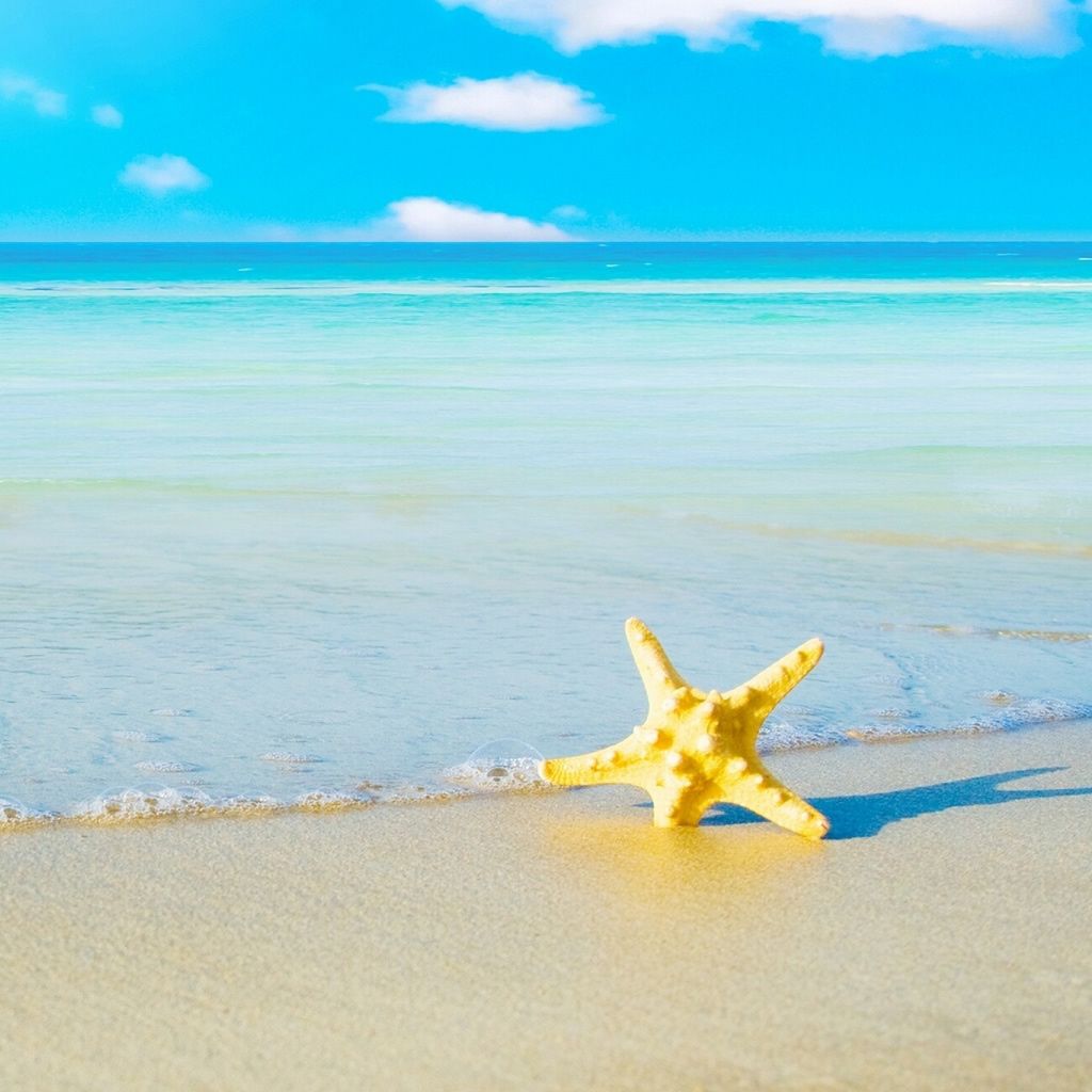 Starfish On the Beach Image. Fond d'écran iphone été, Fond d'écran tropical, Image paradisiaque