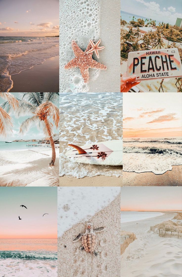 A collage of beach scenes with different colors - Coast, starfish, collage