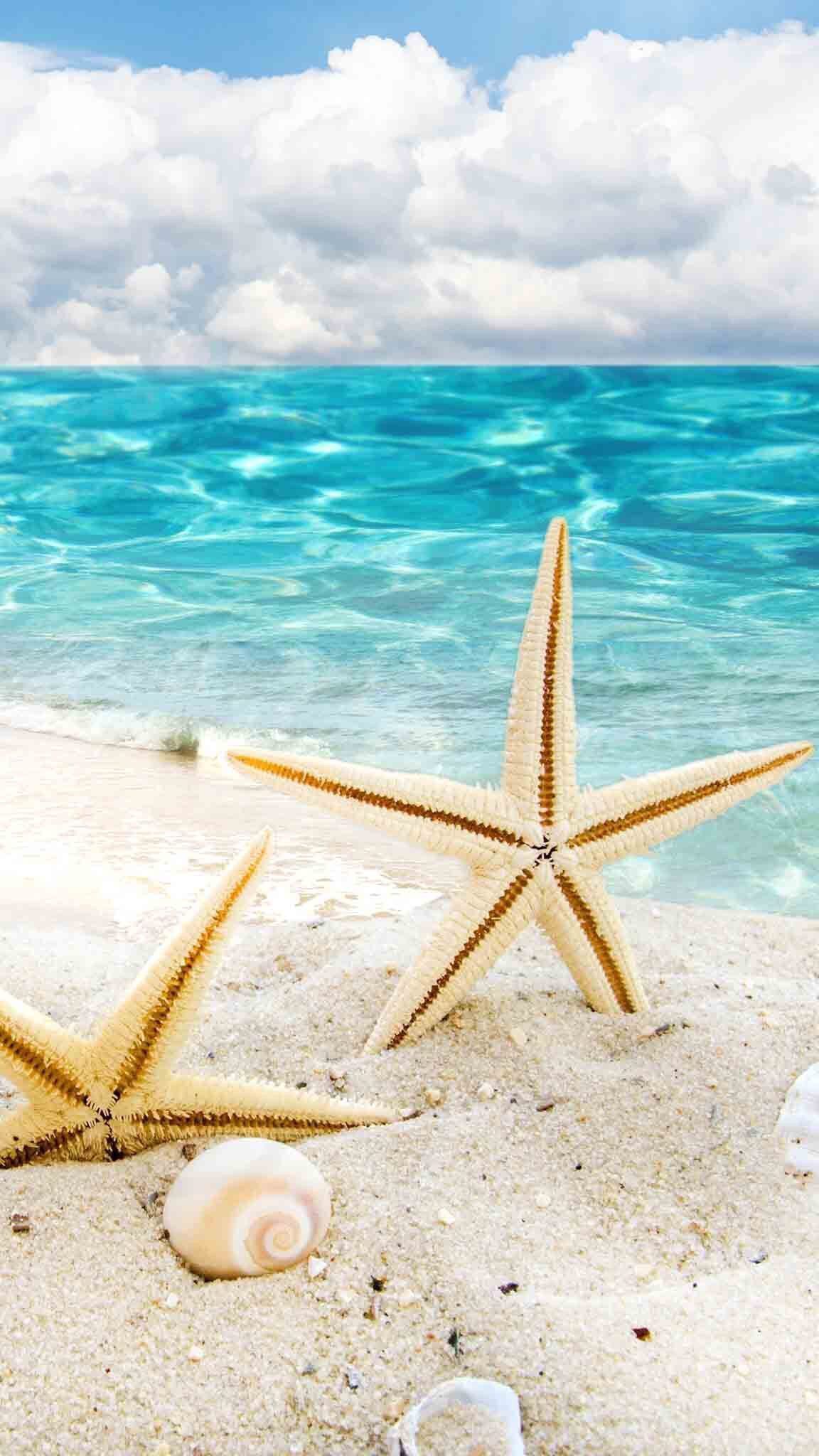 Two starfish on the sand with a beautiful beach background - Starfish