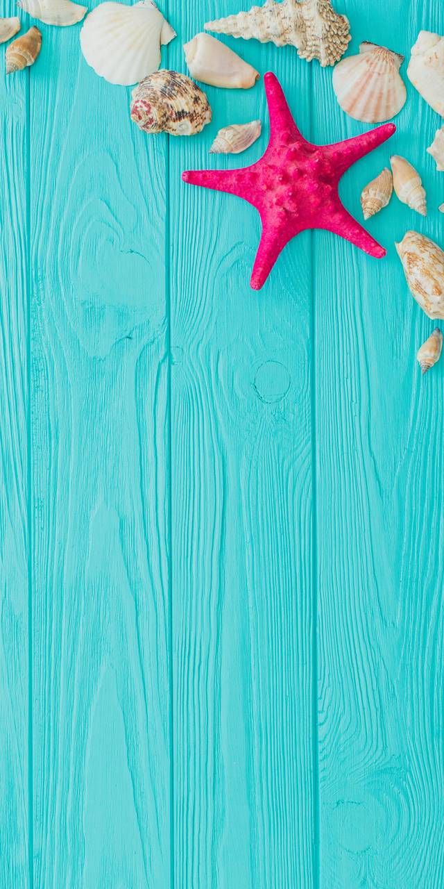 Shells and starfish on a blue wooden background - Starfish