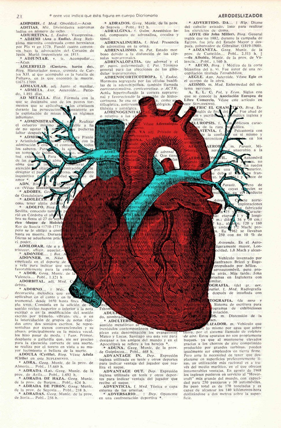 A print of a red human heart on a dictionary page - Anatomy, medical