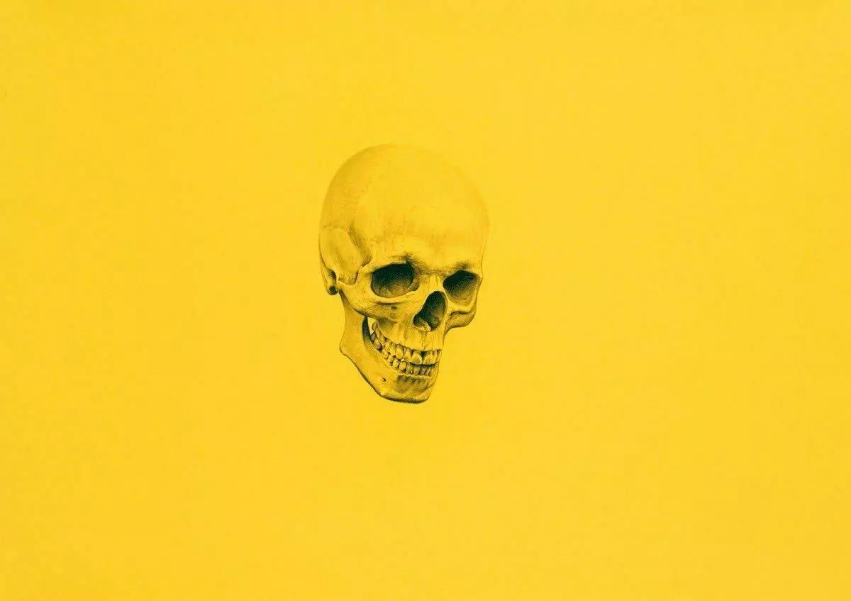 A yellow skull on an orange background - Anatomy