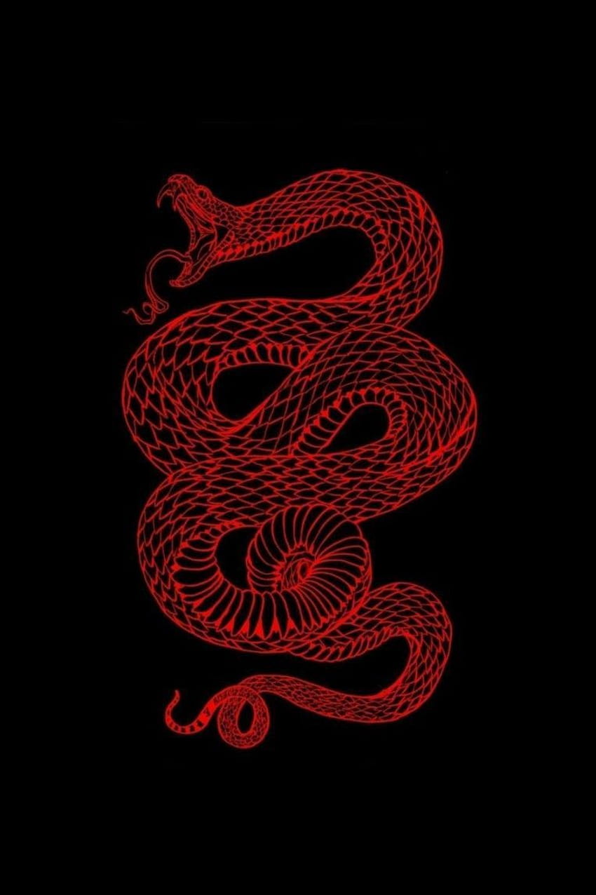 Red snake illustration on a black background - Snake